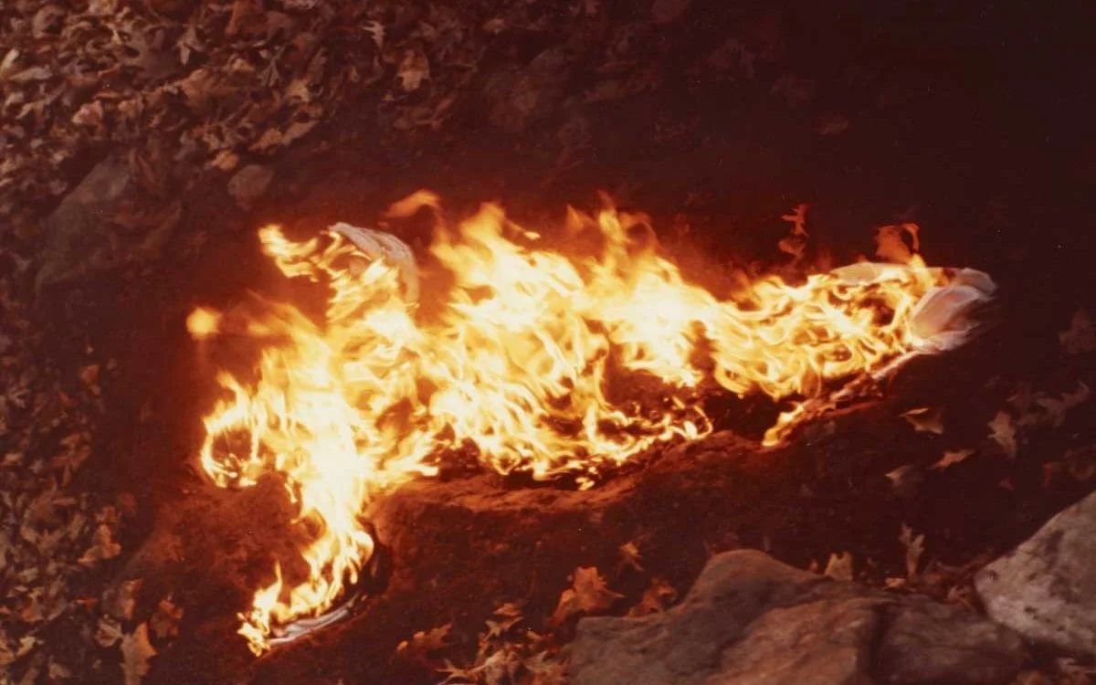 Ana Mendieta: Fuego de Tierra