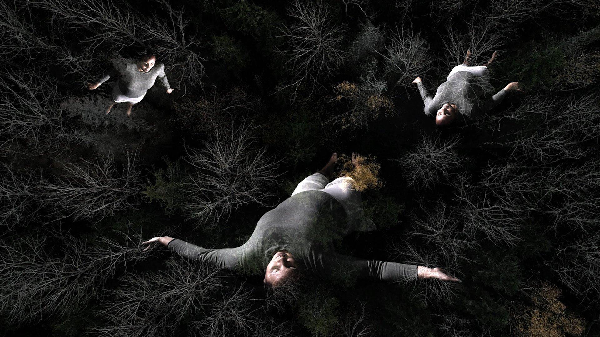Live Performance: Field Studies 