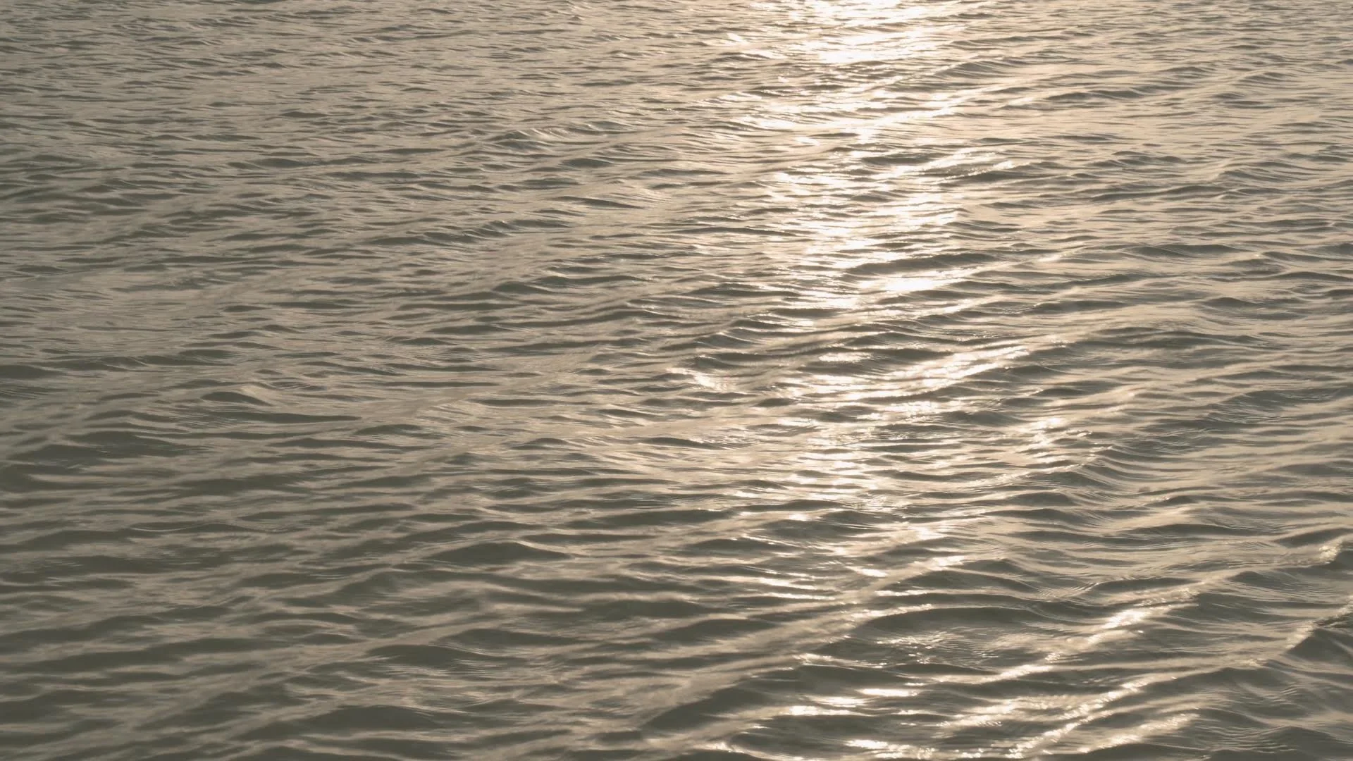 Beatriz Bellorin_Tide and Substance, 2026..jpg