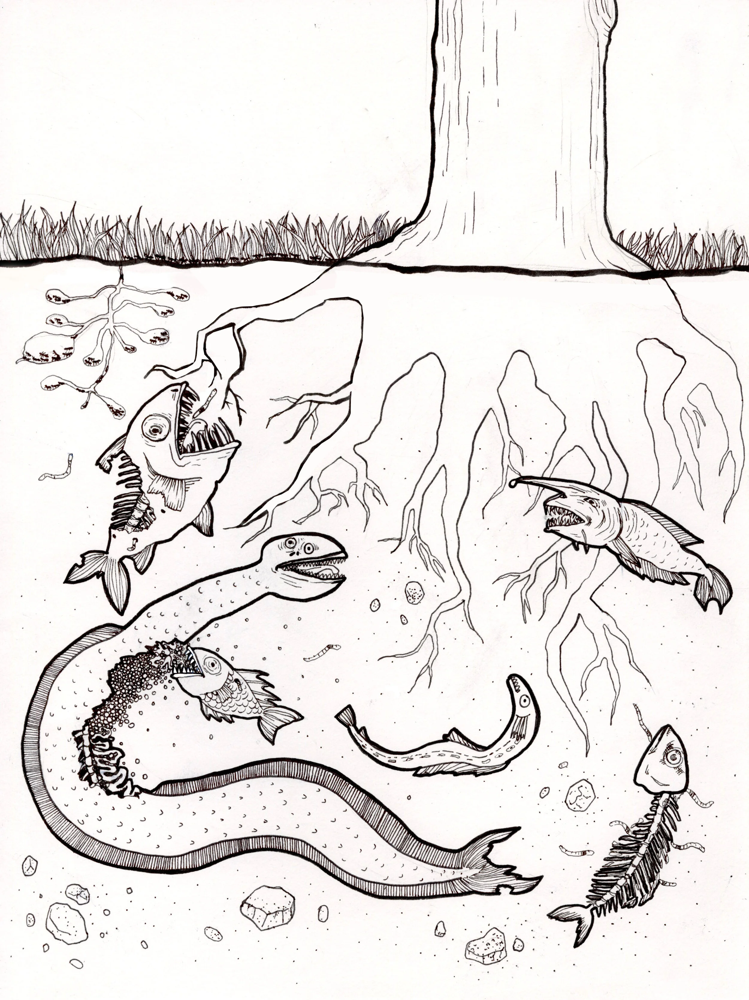 Fishes Under the Ground