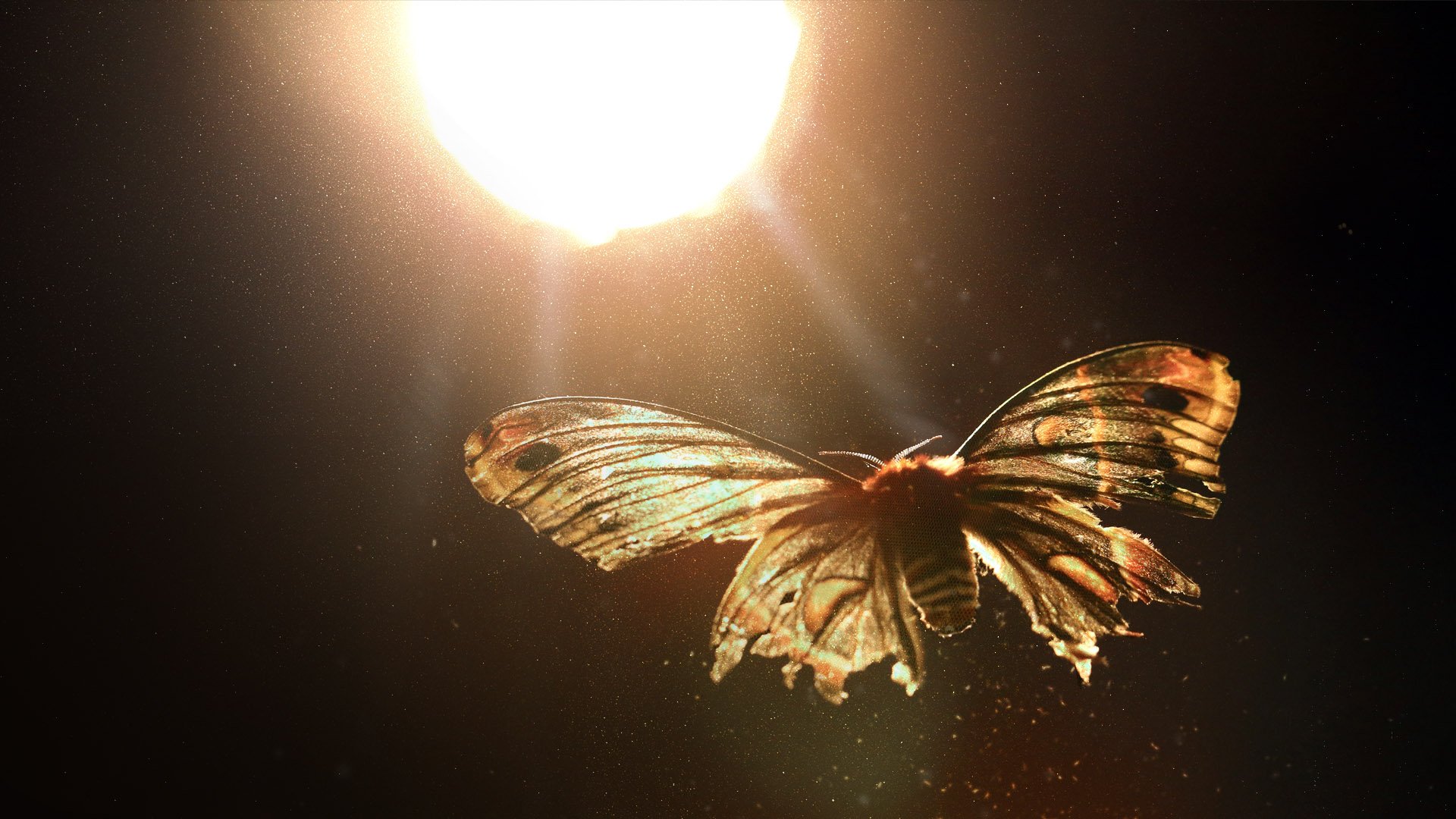 No Country for Old Men