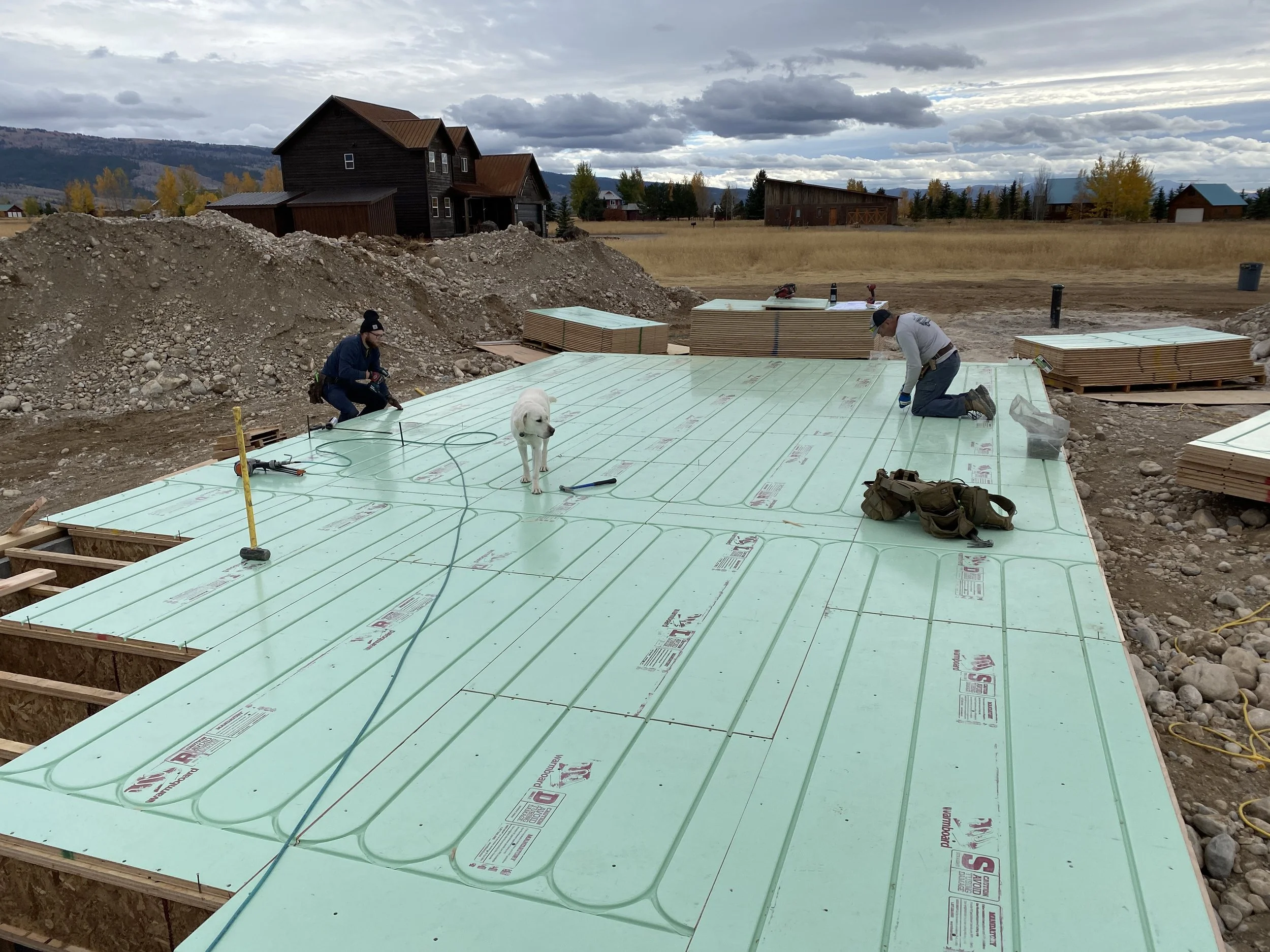 Two construction workers and a dog installing insulation on a building foundation in an open field with mountains in the background.
