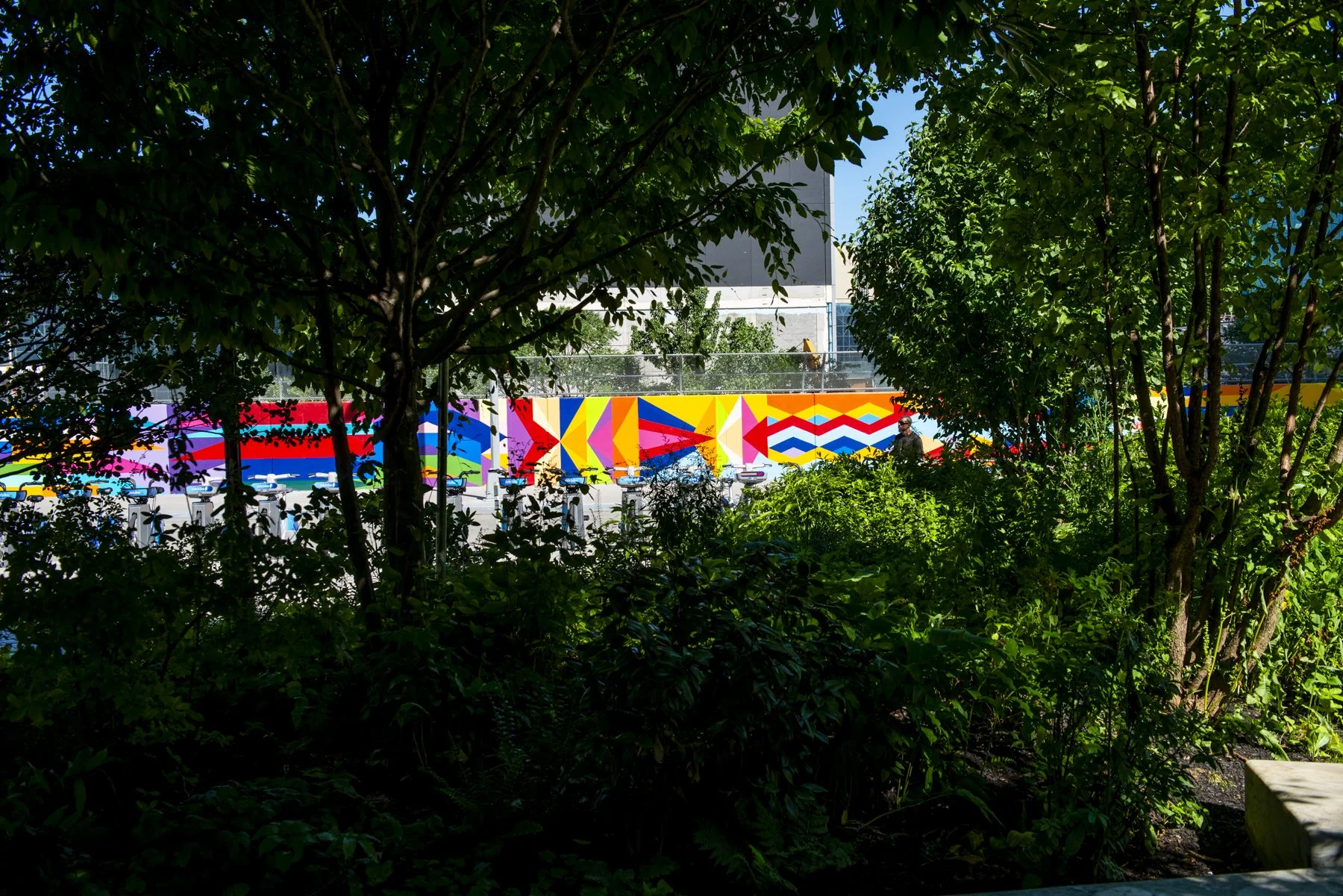 Murals + Community Projects