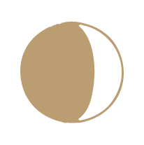 Artboard 2_6@2x copy.png