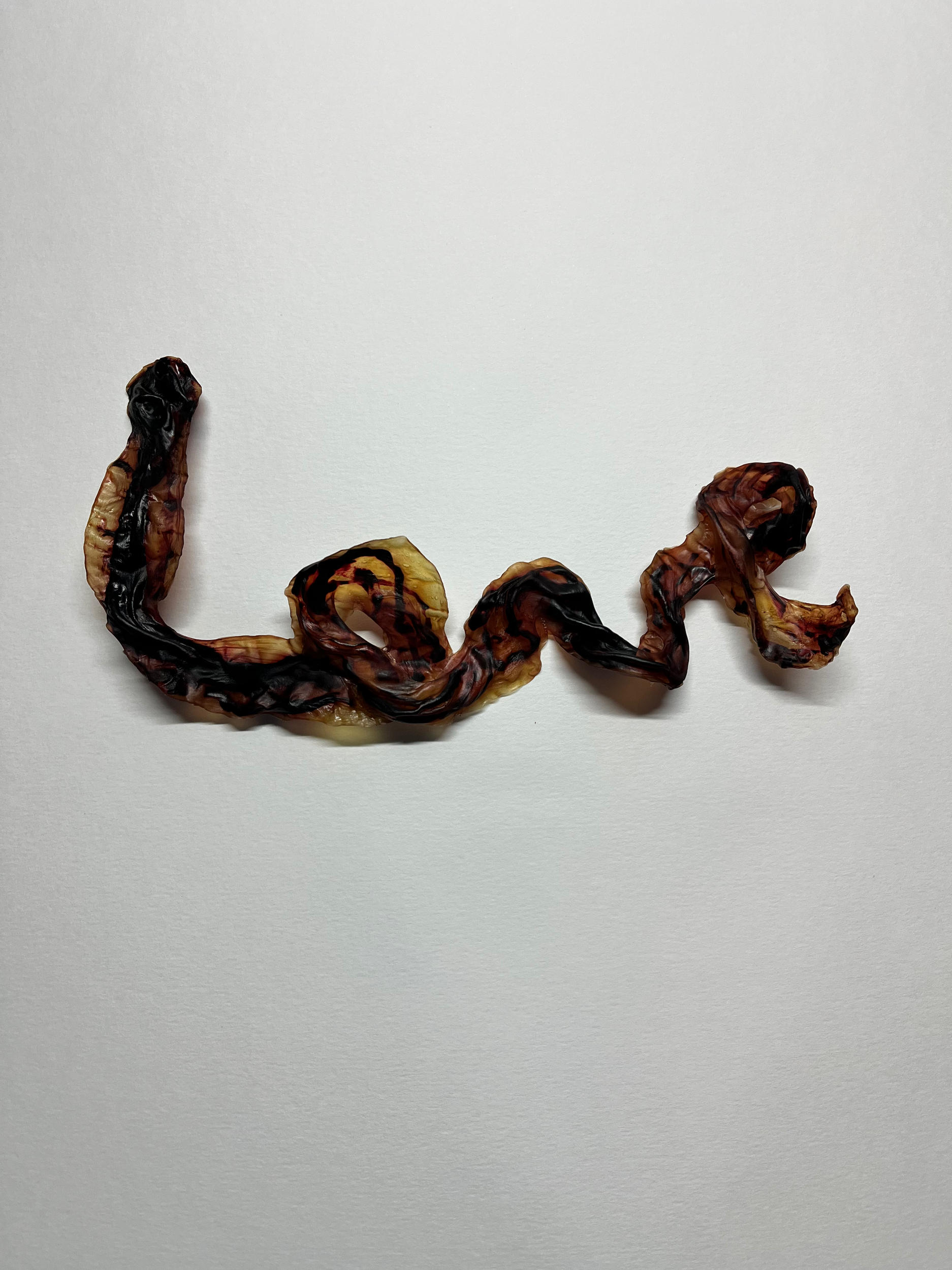 umbilical cord keepsake