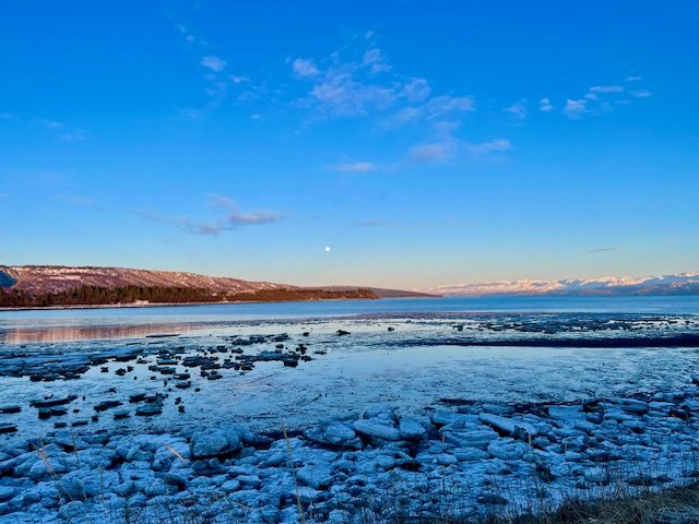 The Joys of Being in Homer for the Holidays