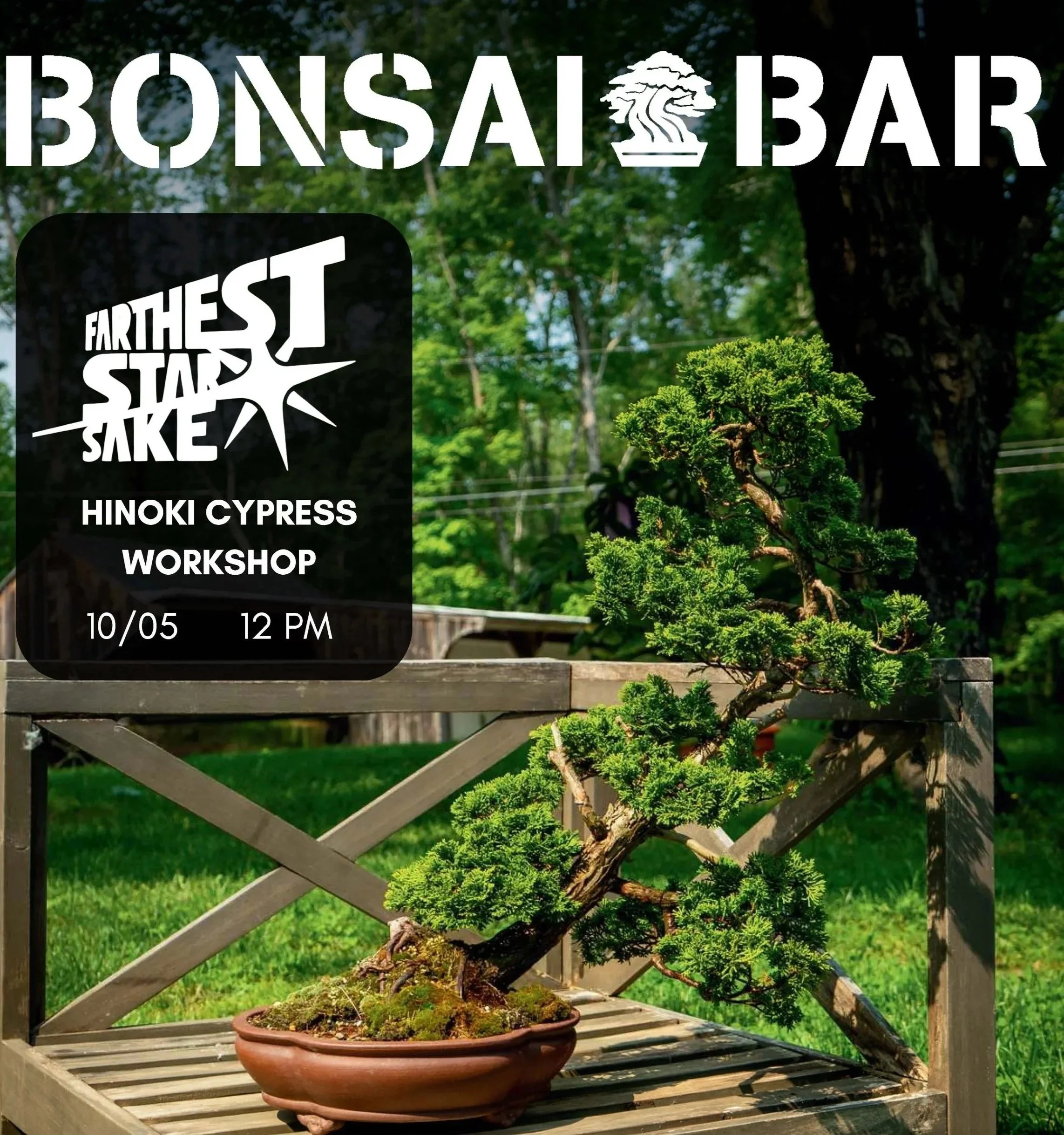 Bonsai workshop