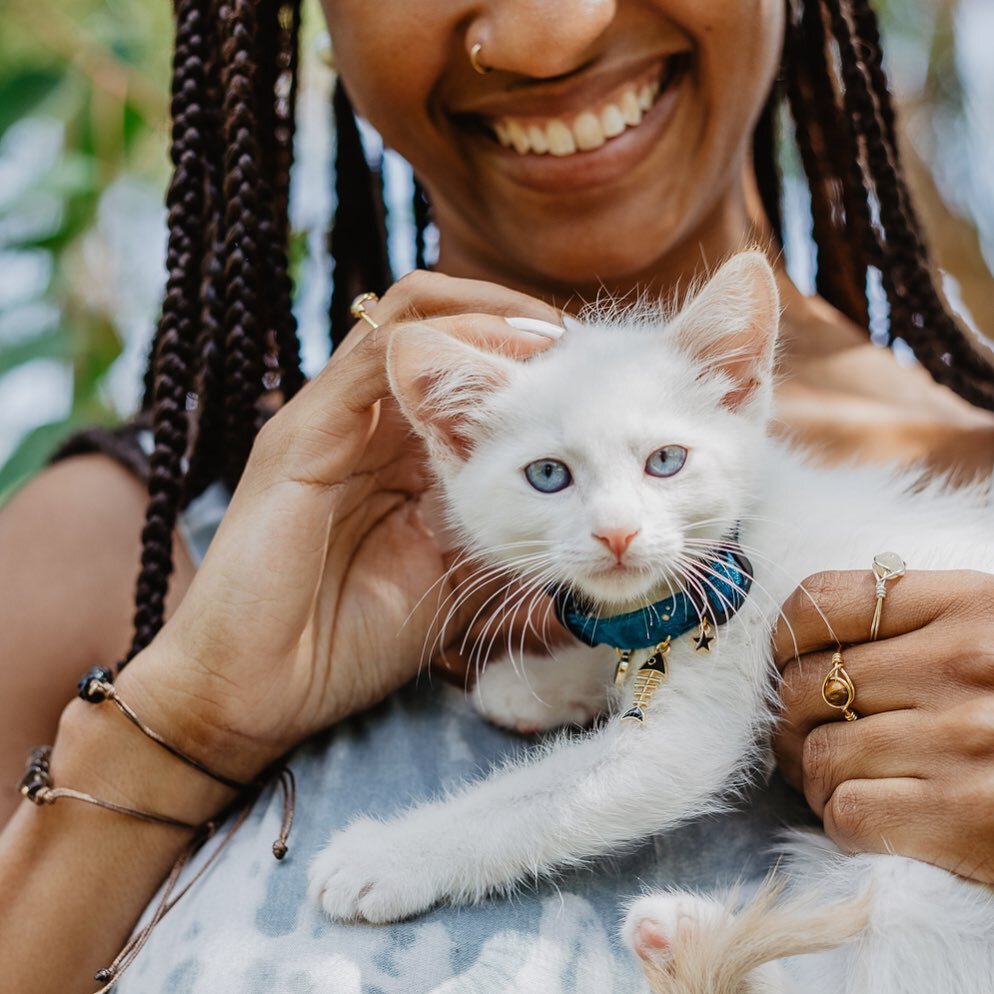 Delivered @catsndcrystals gallery yesterday from our Lifestyle Session a few weeks ago! And guess what!? I just found out this little cutie {Howlite} had officially been adopted! 😻

I love working with small businesses like @catsndcrystals that give