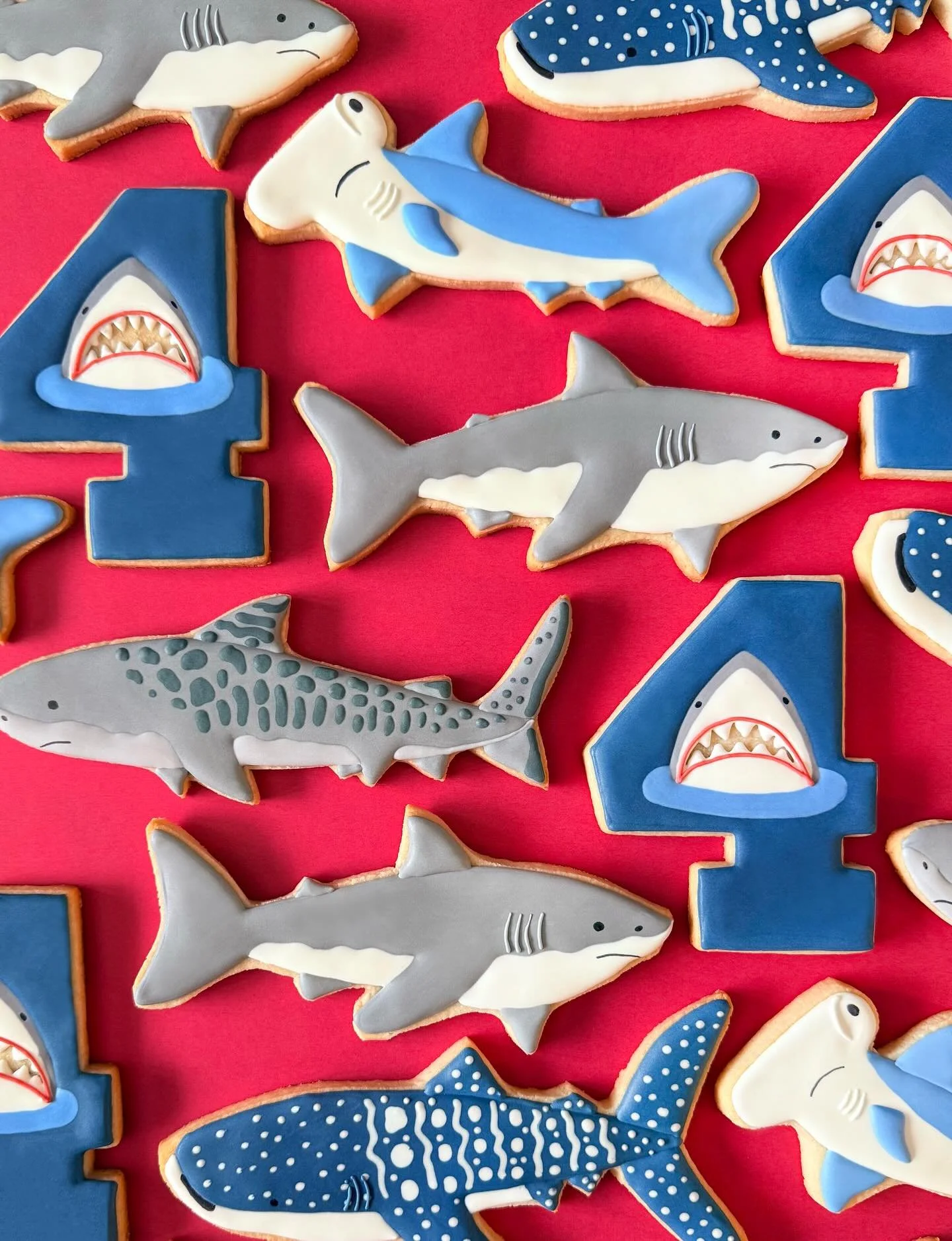 Last cookie order of 2025 and one of my favorites of the year! This little shark lover made my cookie dreams come true, HBD! 🦈