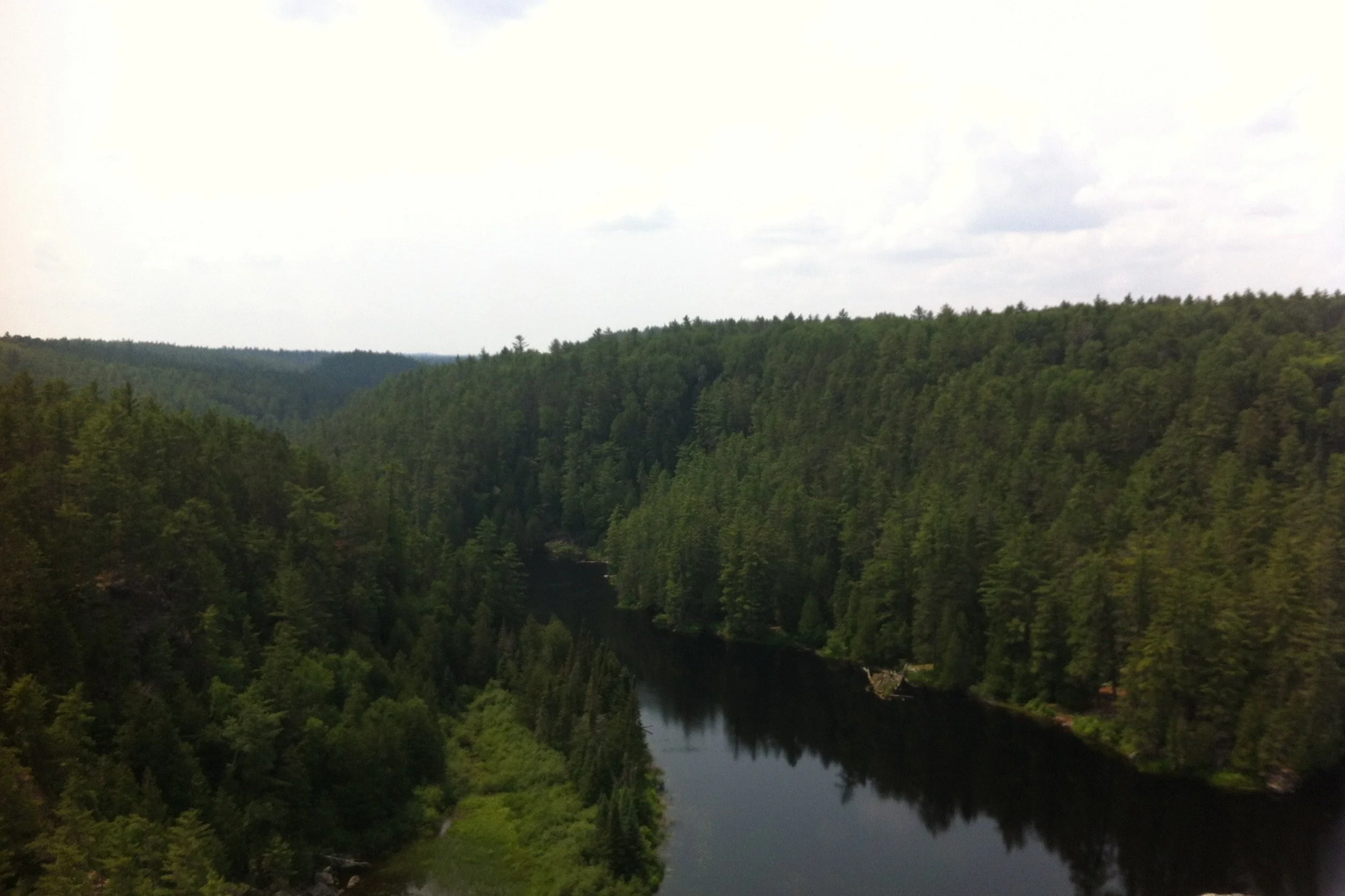 IMG_0269.jpg