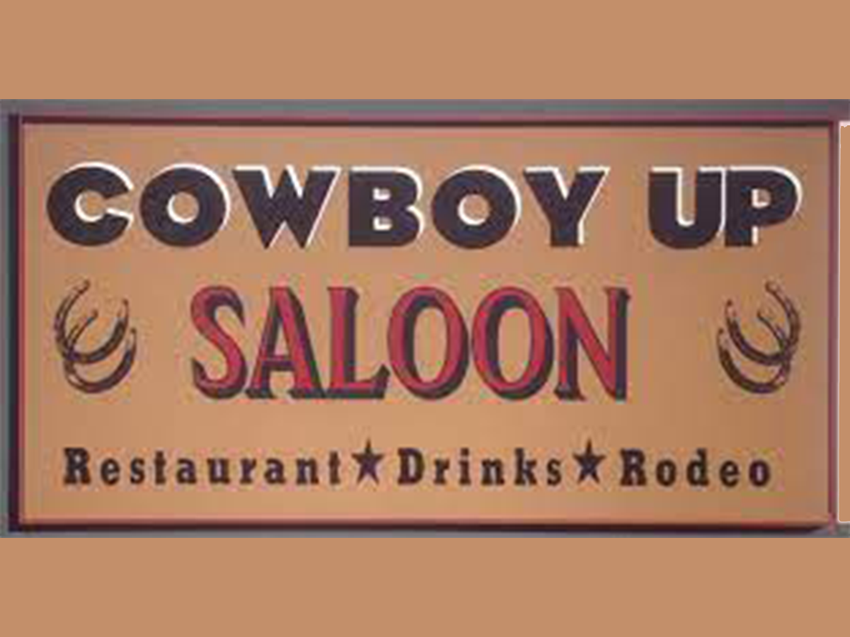 New Whiskey River Band