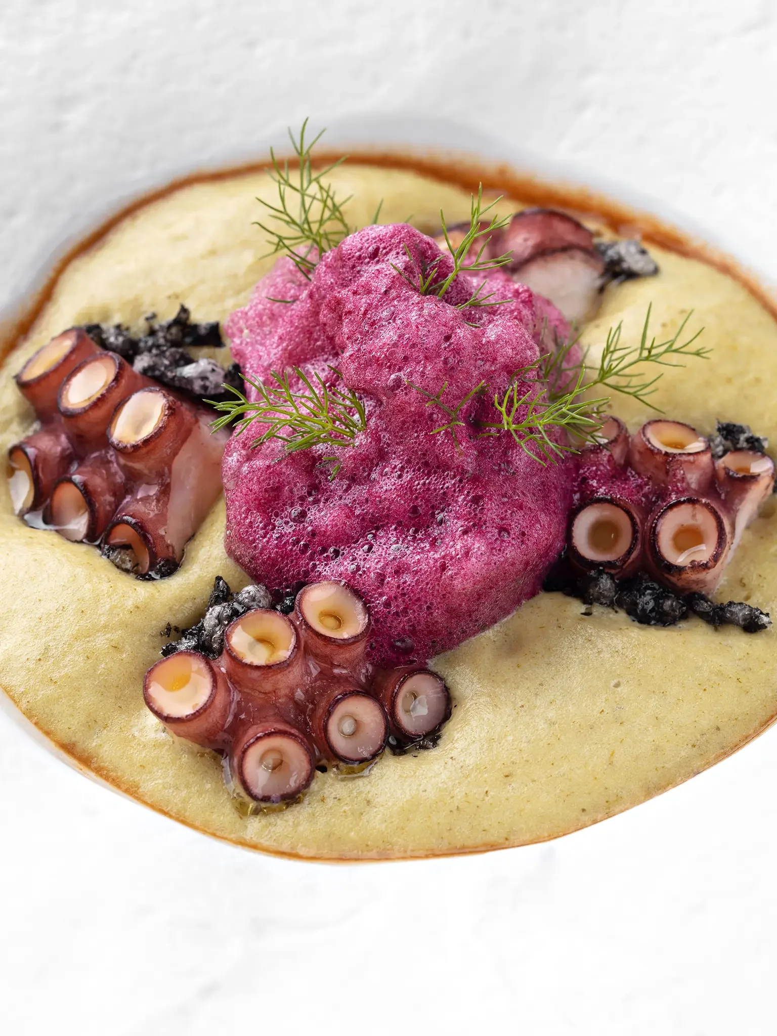Close-up of a seafood dish featuring grilled octopus tentacles, topped with pink foam and garnished with green herbs, served on a round plate.