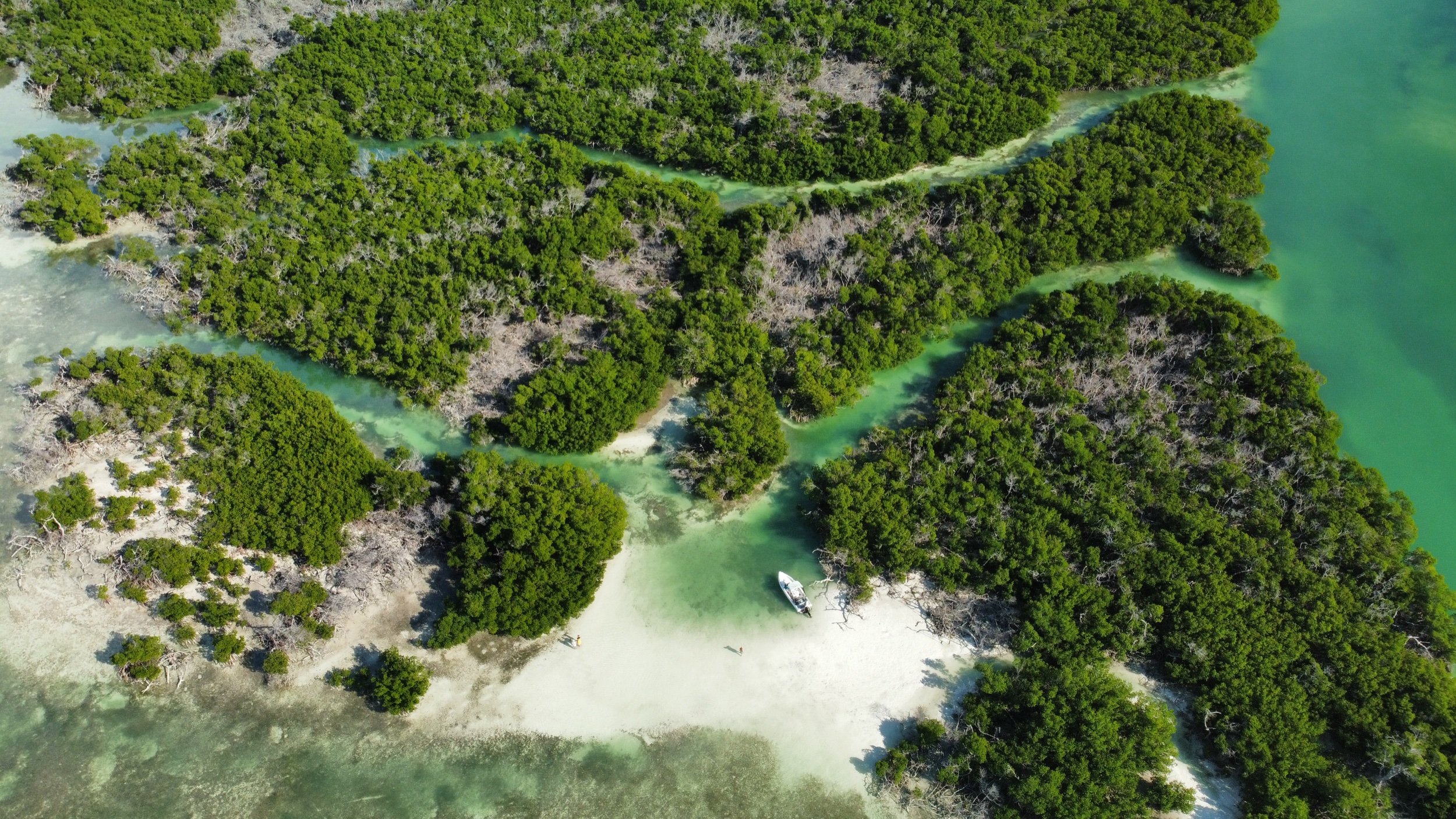 hidden mangrove sandbar