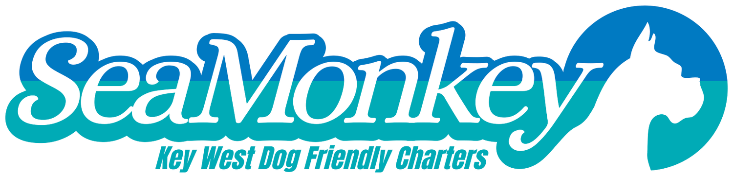 Sea Monkey Dog Friendly Charters- Key West Charter boats- Sandbars 