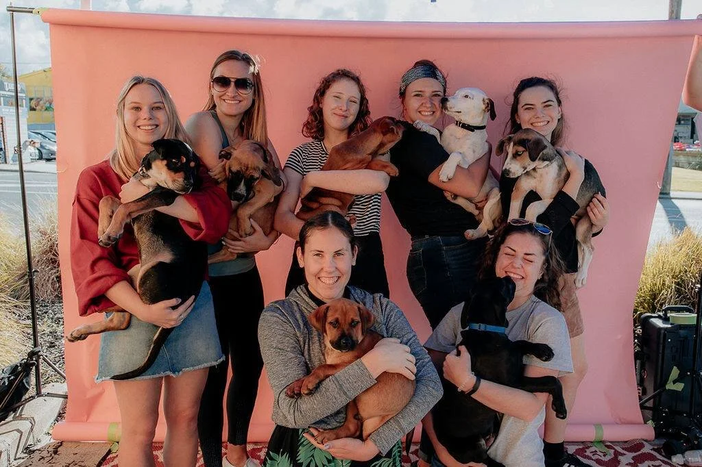 Student Volunteers Support Dog Adoption Drive