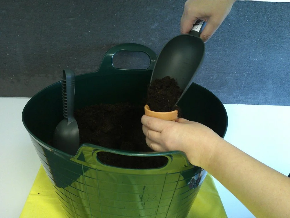 Potty About Plants