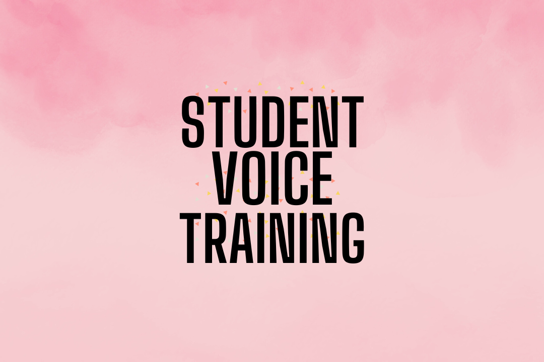 Lewes Student Rep Training