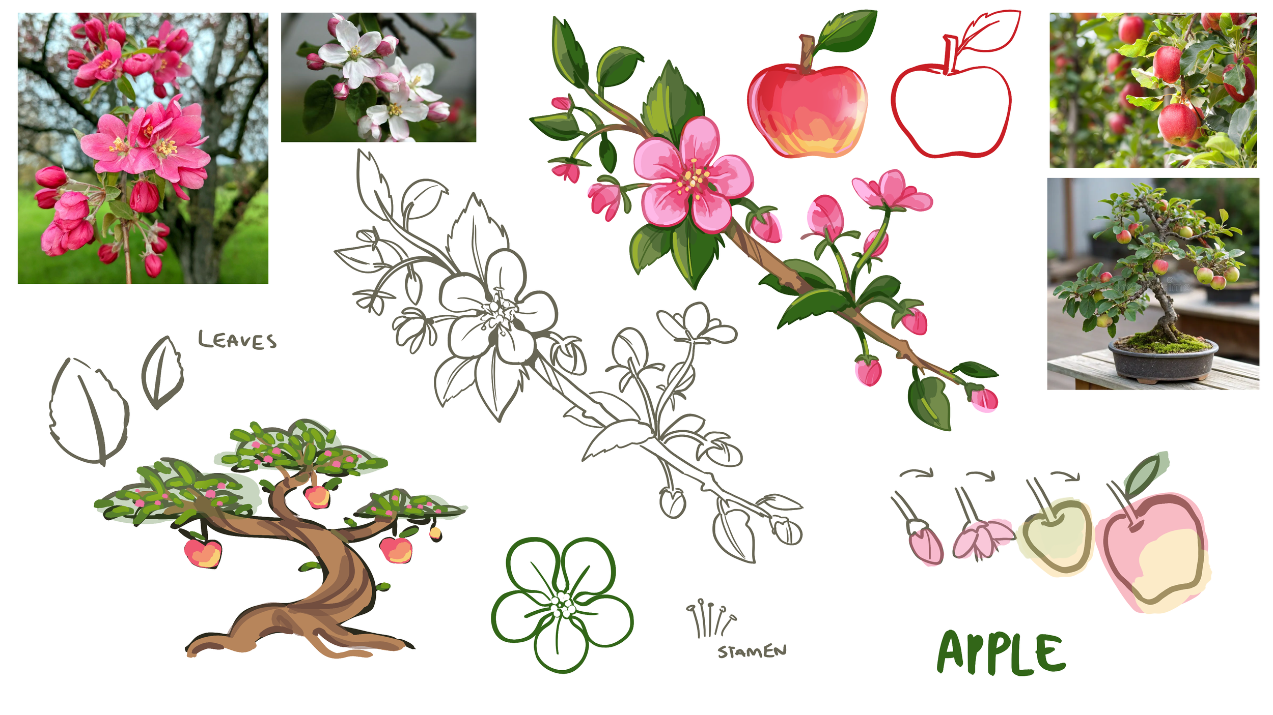 apple_concept.png