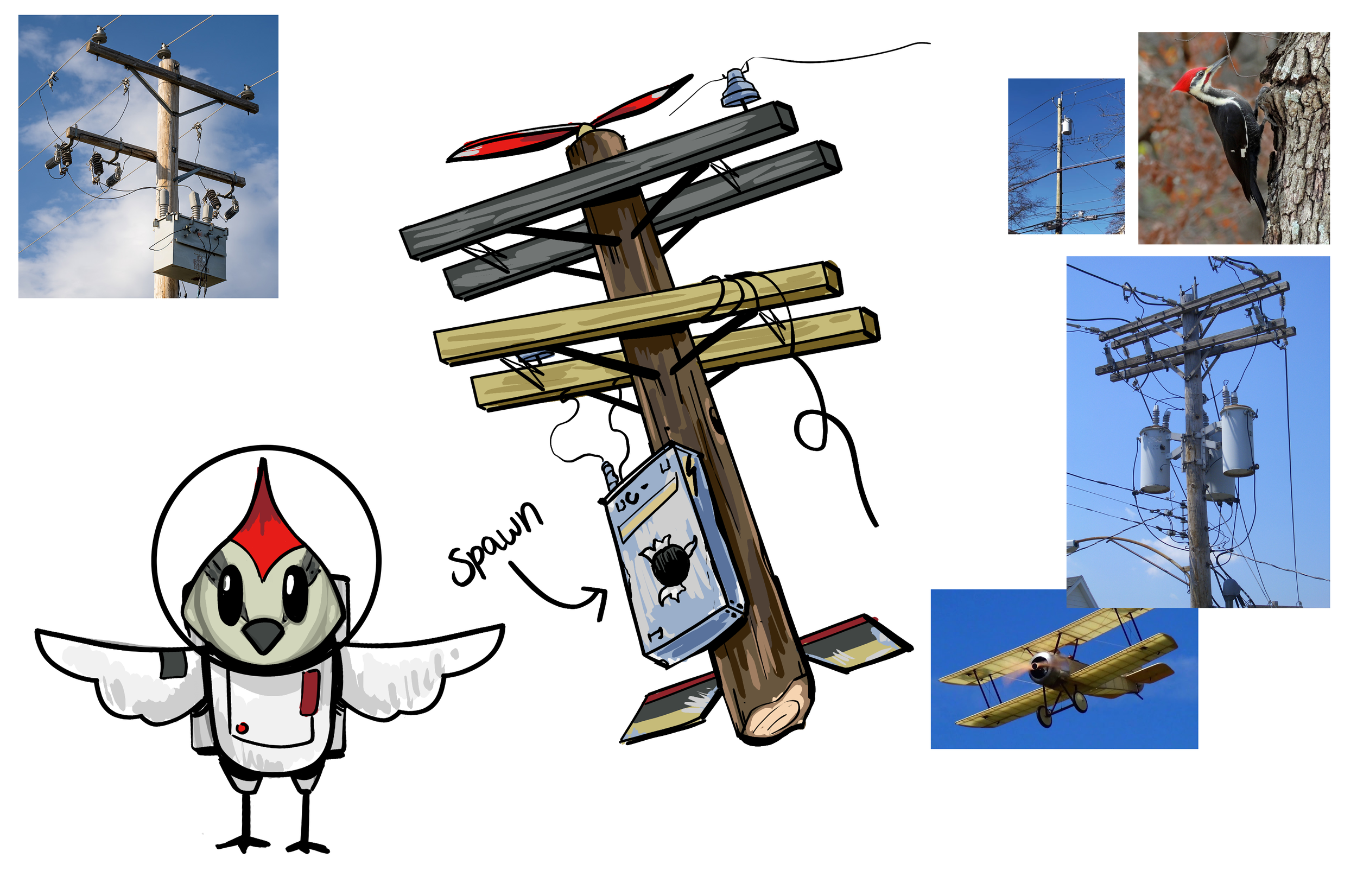 woodpecker hazard color.png