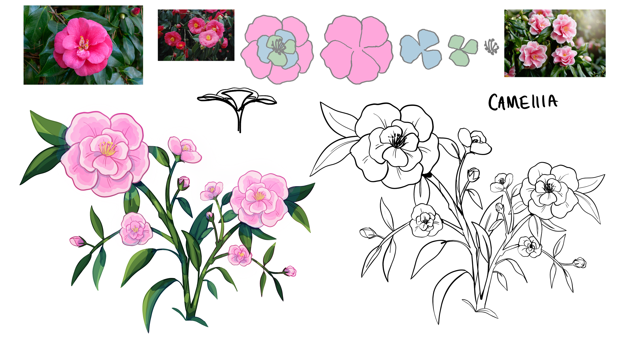 camellia_concept.png