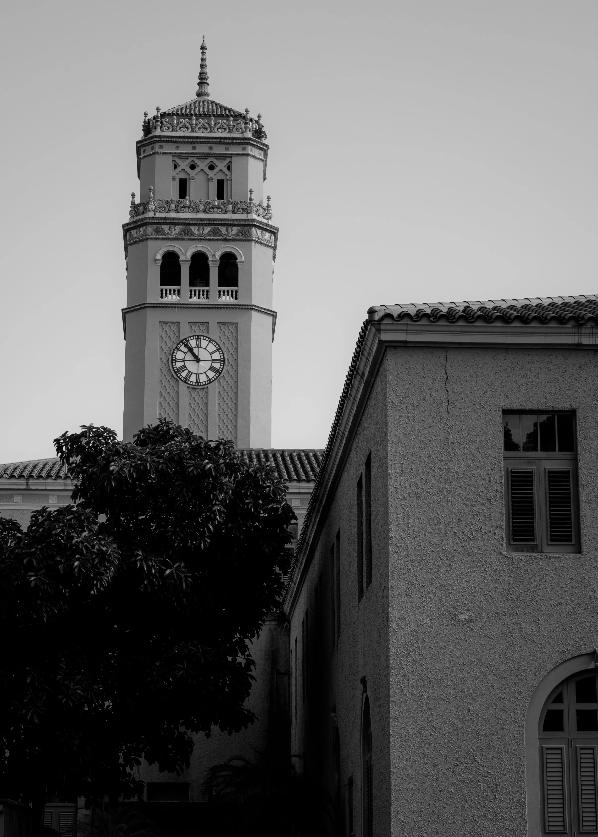 DSCF3837.jpg