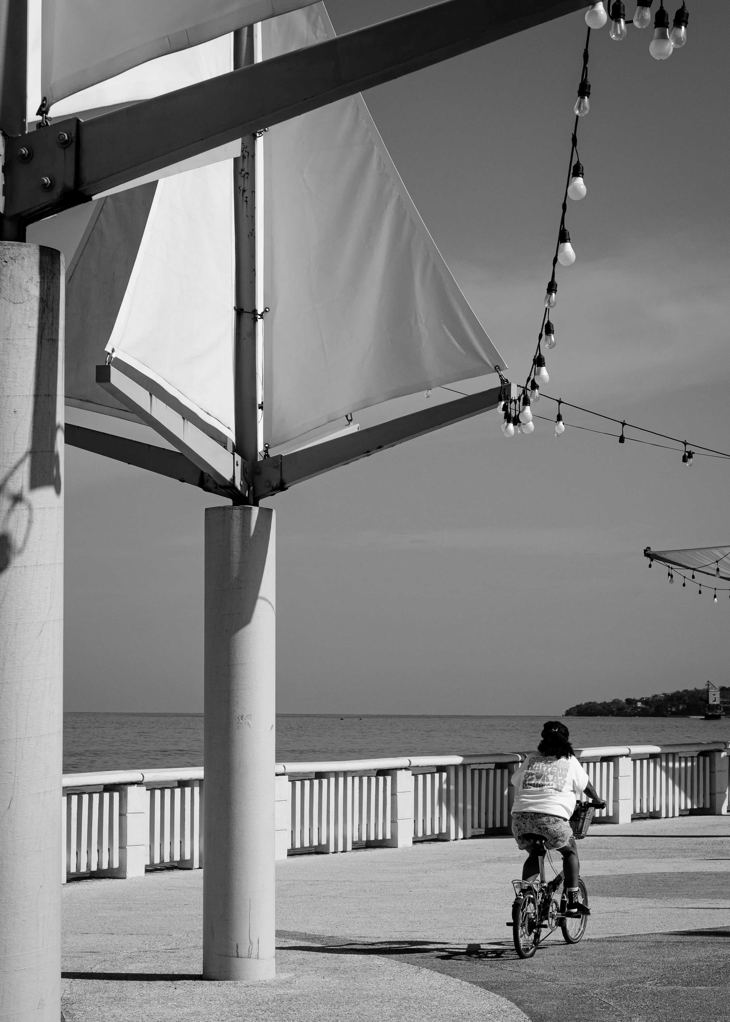 DSCF3556.jpg