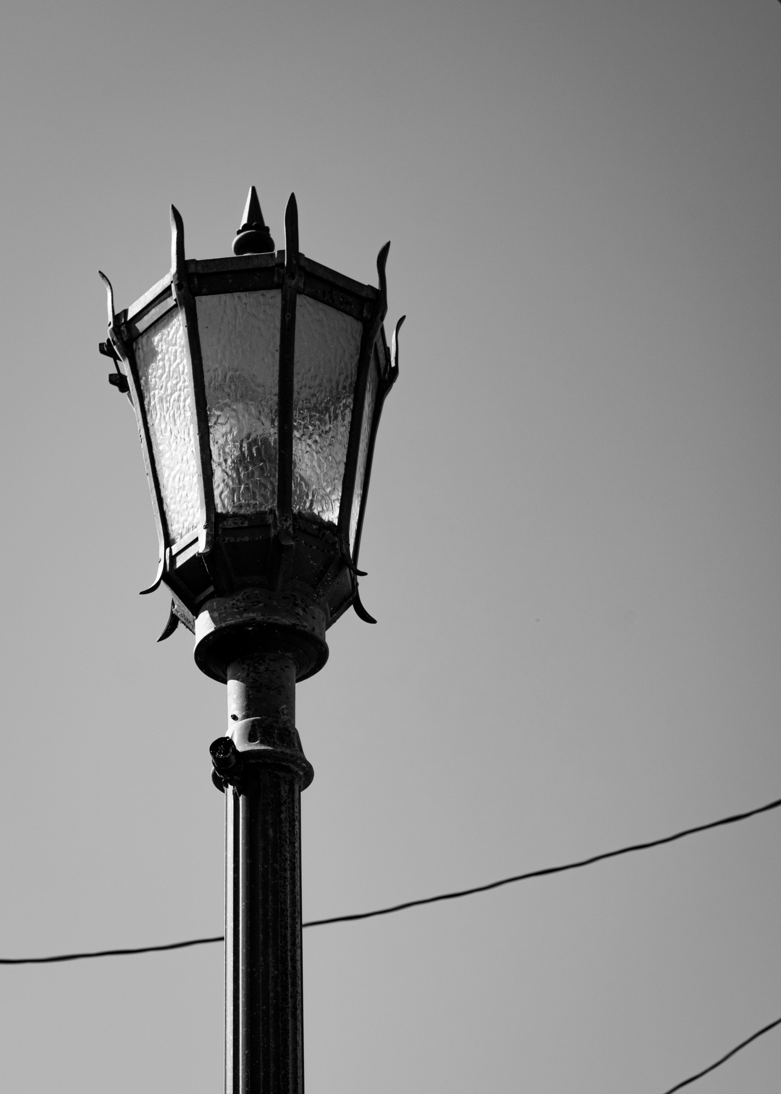 DSCF3563.jpg