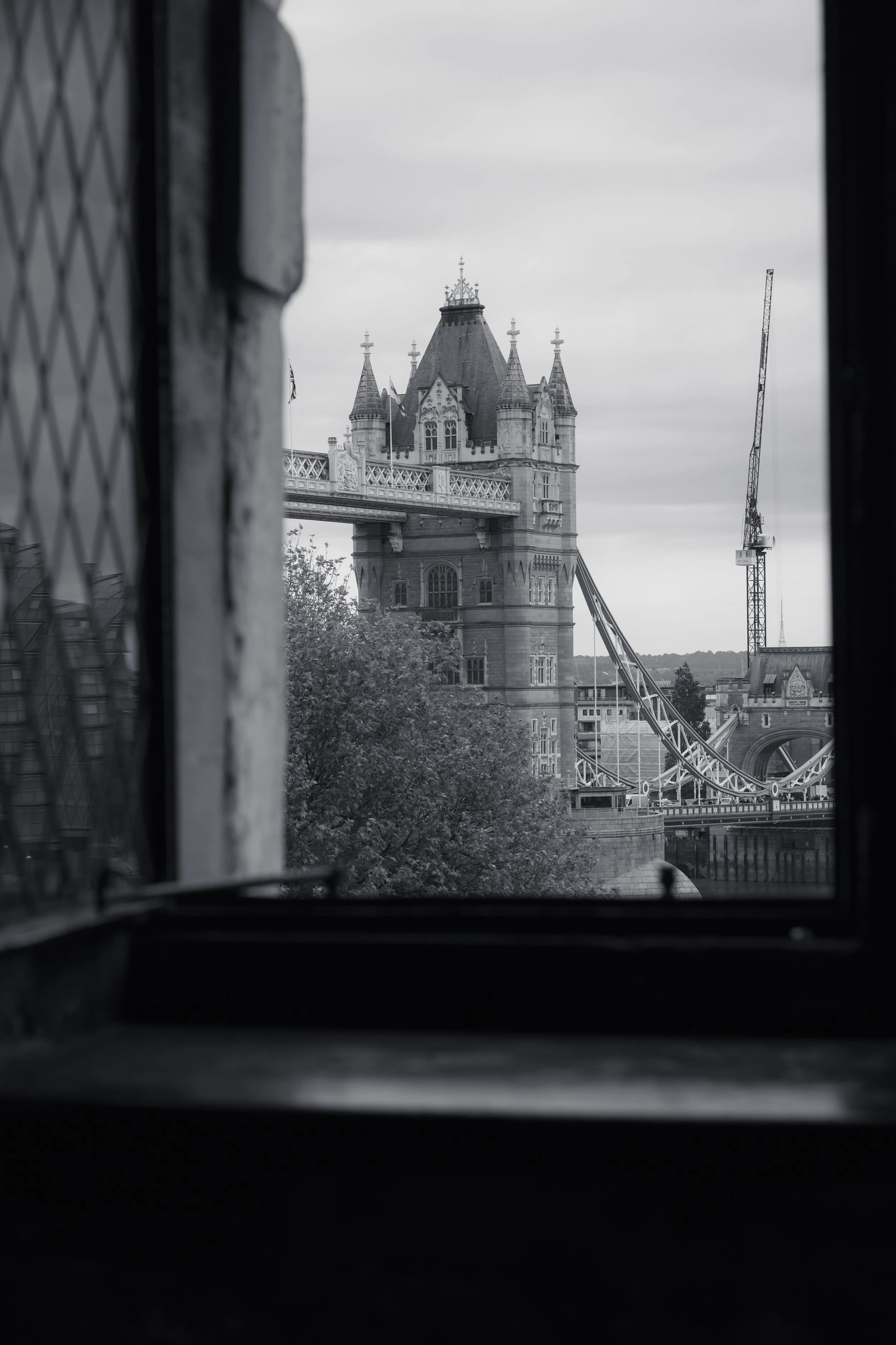 DSCF5030.jpg