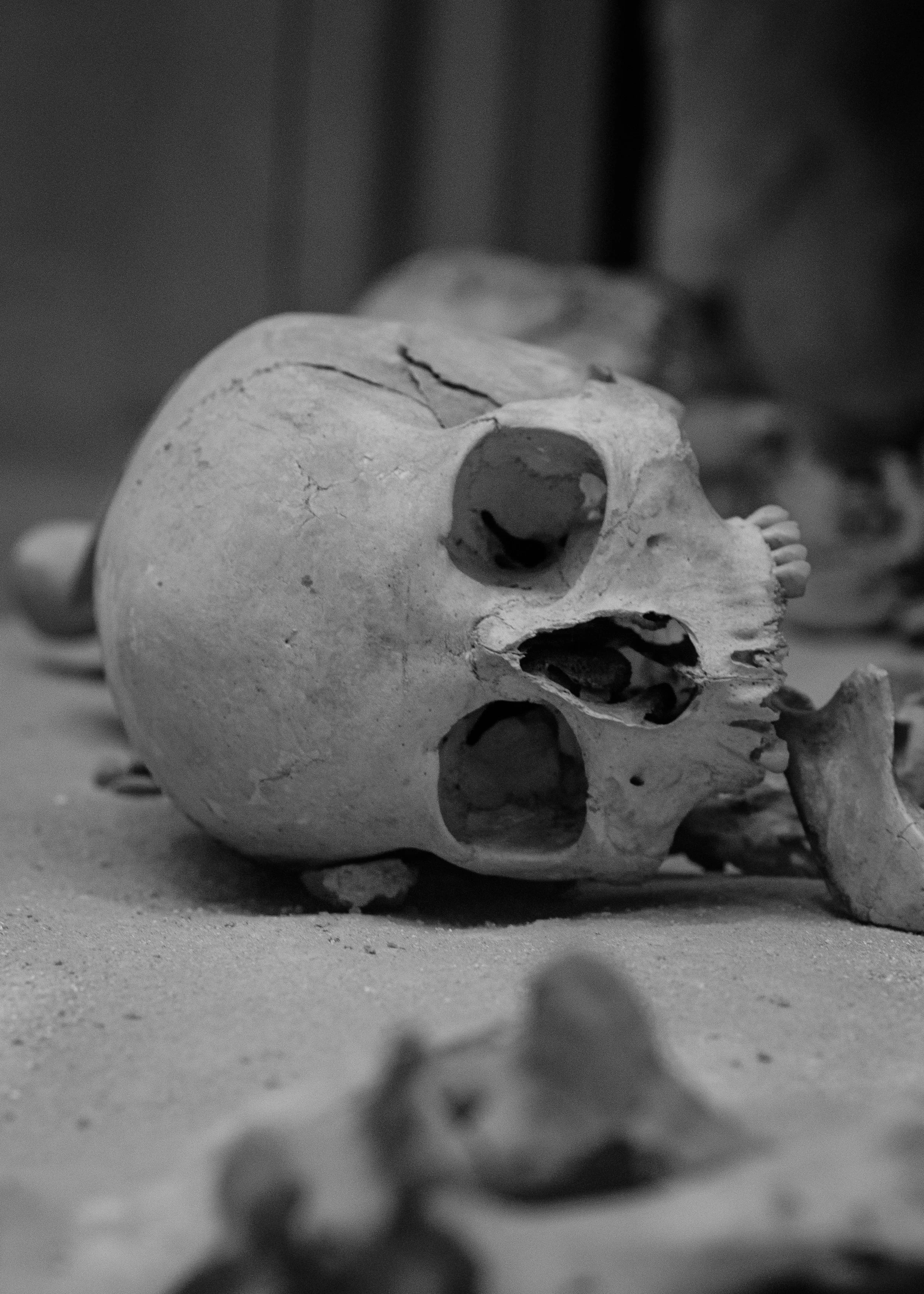 DSCF5192.jpg