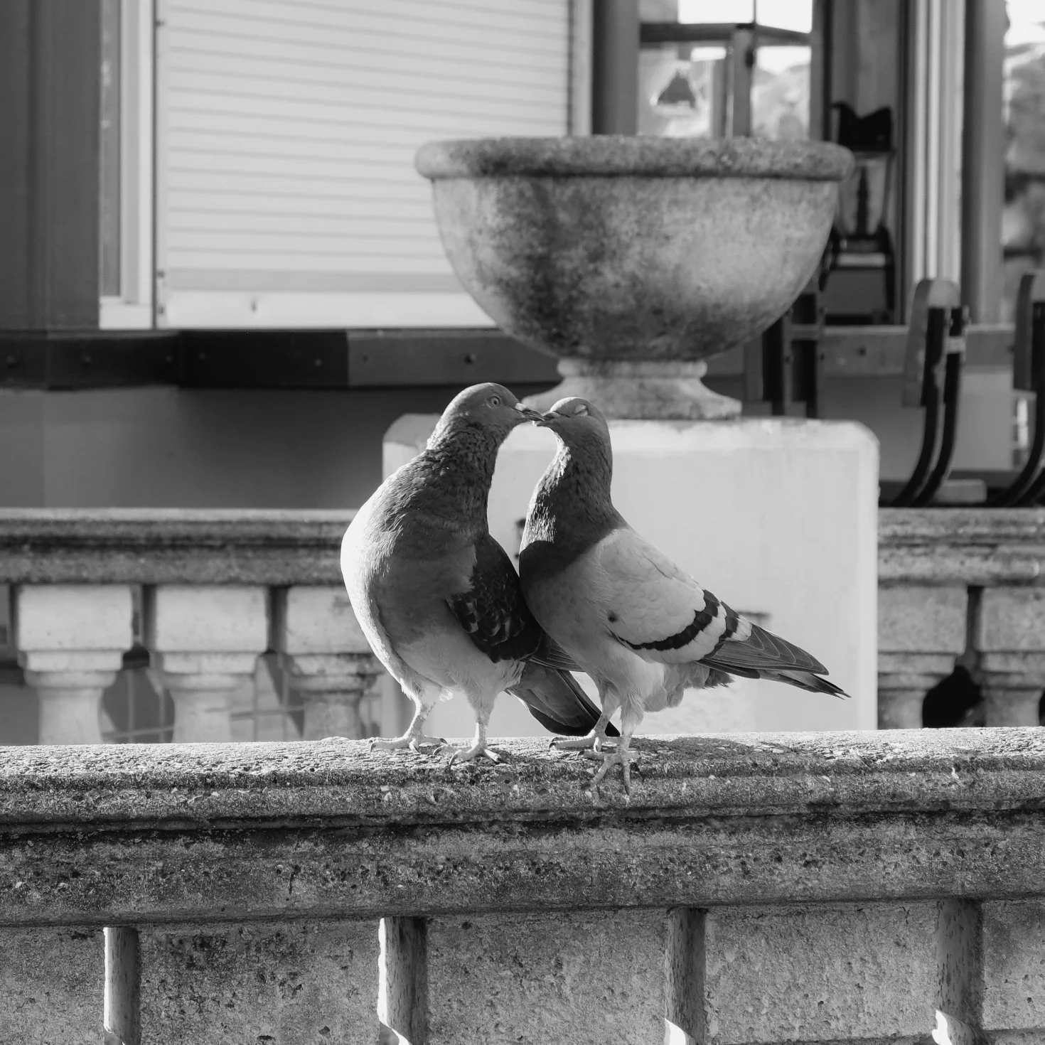 DSCF2074.jpg