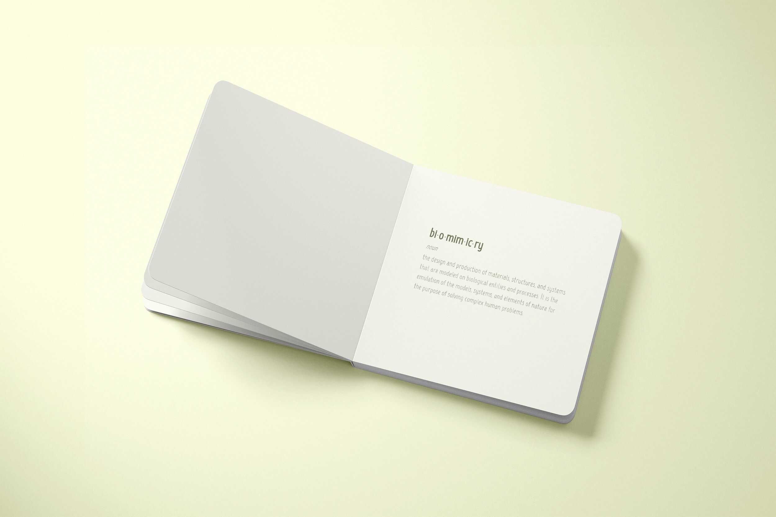 inside_mockup_3.jpg