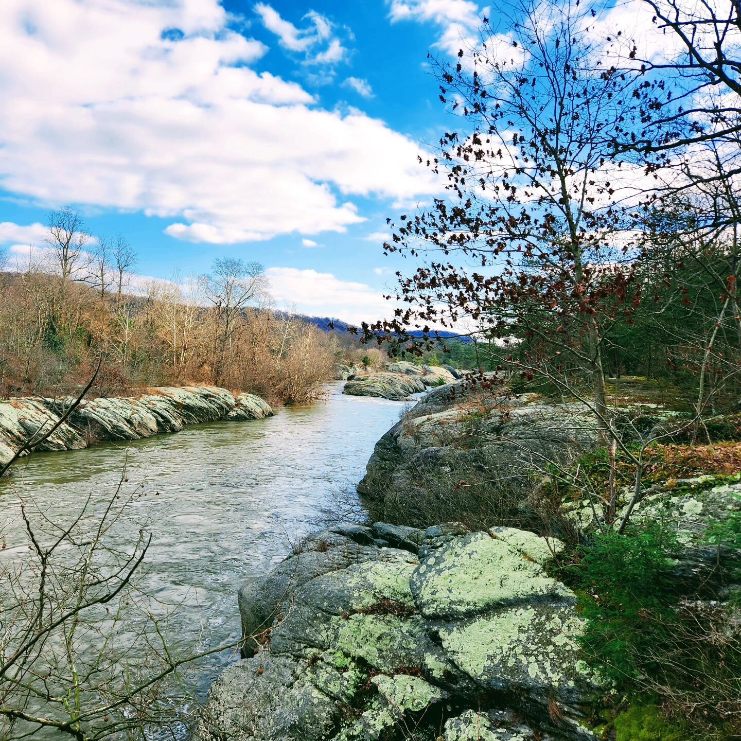 Scoping out new paddle spots for the summer 🪨 

#susquehannariverlands #lowersusquehannariver #paddleboard #paddlepa #susquehannasup #guidedpaddle #rivertours #supcrew