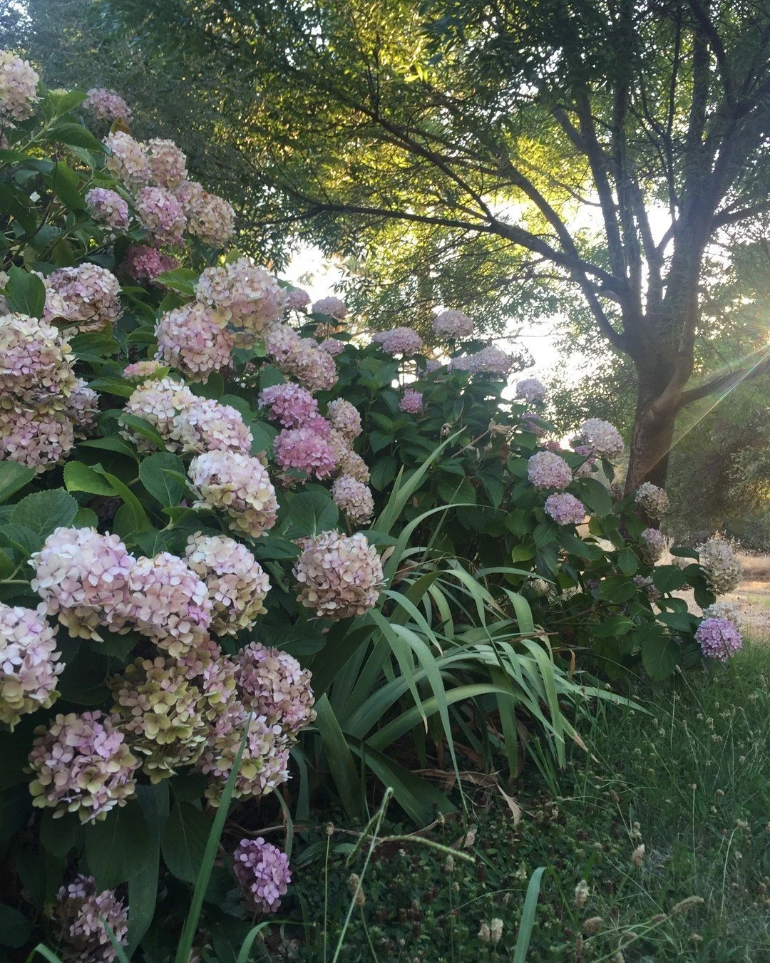 With 70 degree days in the forecast next week I can't help but feel Spring is truly around the corner!⠀⠀⠀⠀⠀⠀⠀⠀⠀
⠀⠀⠀⠀⠀⠀⠀⠀⠀
After the winter months I can't wait to get back to designing, planning, and logistics!⠀⠀⠀⠀⠀⠀⠀⠀⠀
⠀⠀⠀⠀⠀⠀⠀⠀⠀
2023 weddings here we