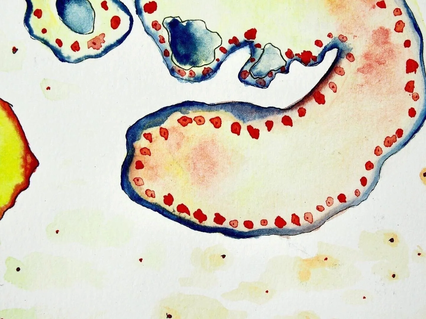 “A wonderful journey”, Watercolour on paper, 7.5” x10”, 2019, by Yanli Tang.