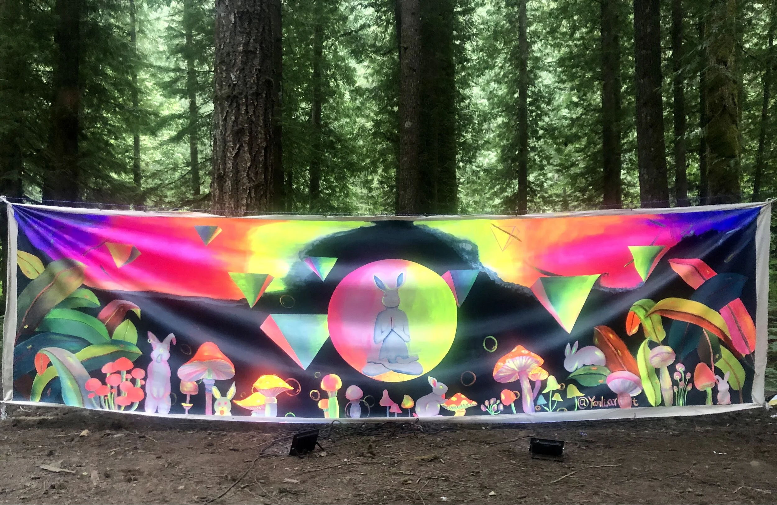 Deep Forest
