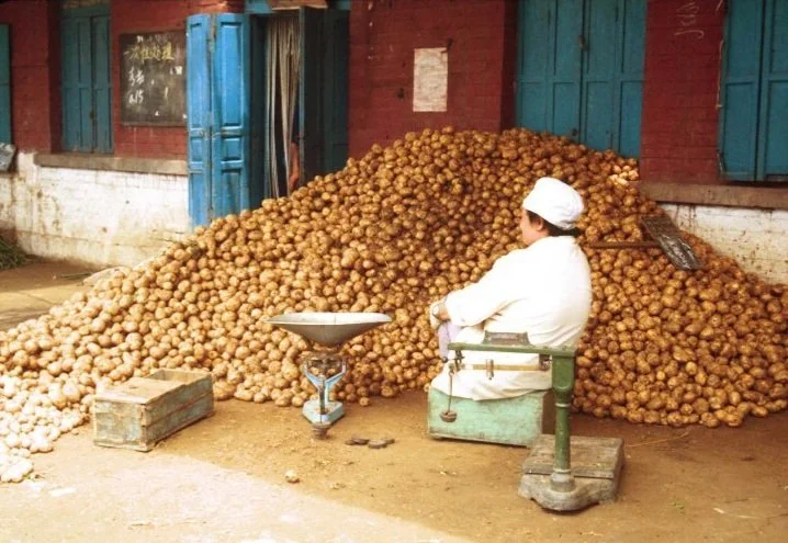 POTATO PEDDLER