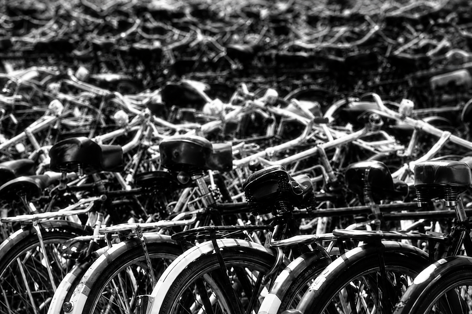 MY BICYCLE is WHERE? 