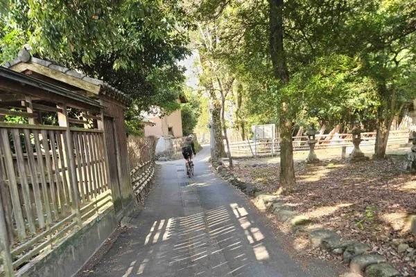 Kyushu island cycle tour narrow road