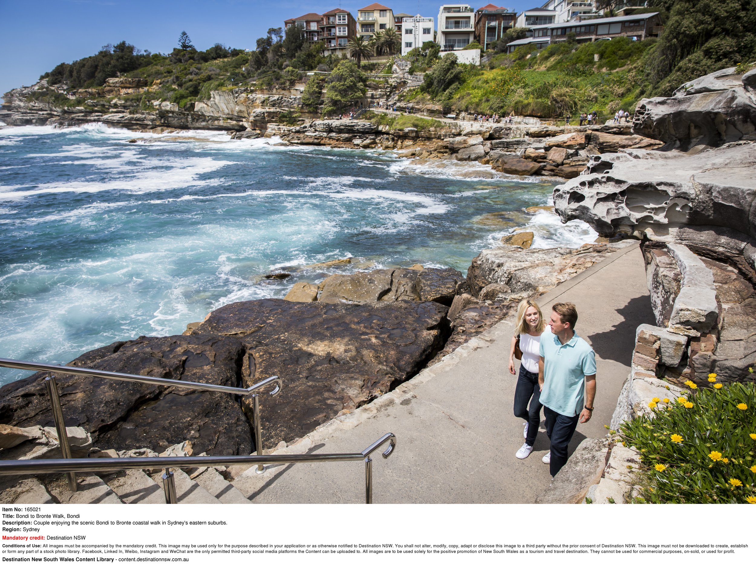 Bondi to Bronte Coastal Walk.jpg