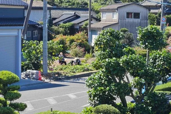 Kyushu island cycle tour roadside scenery