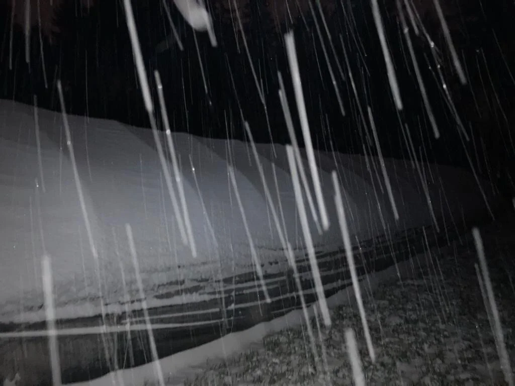 February snow!