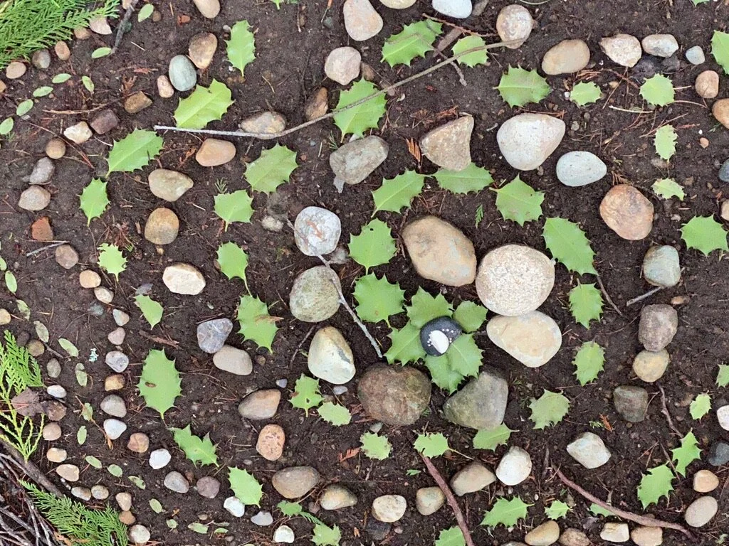 November and December