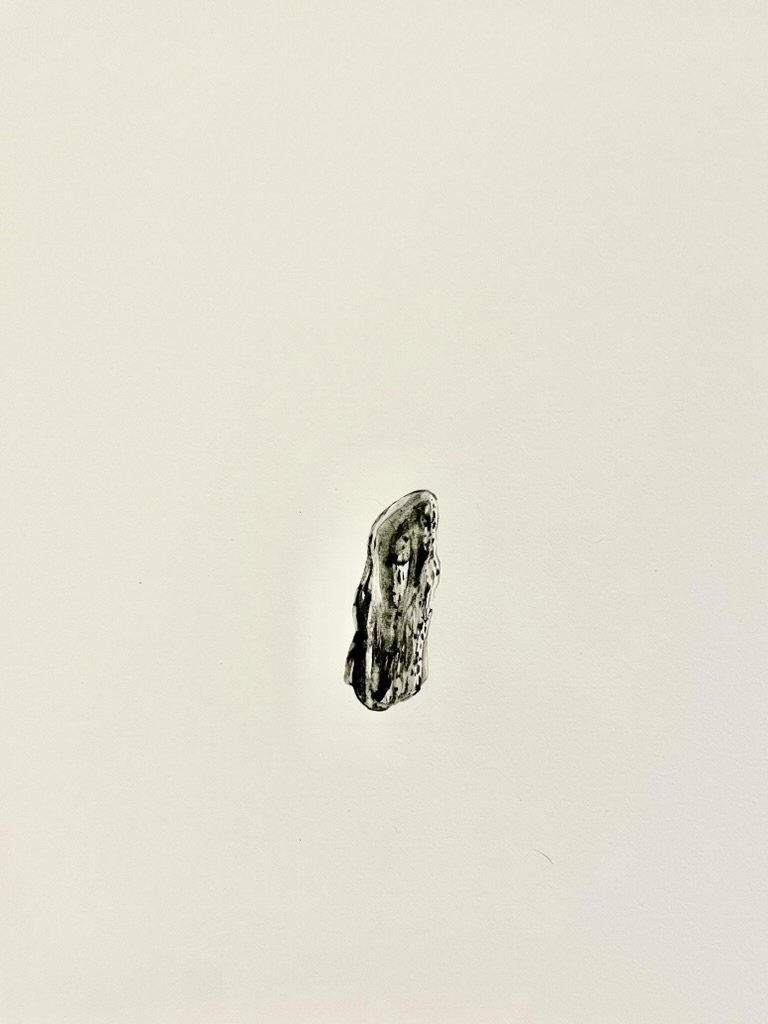 65E59D26-F514-46F8-A68E-94102E8D07A7_1_105_c.jpeg