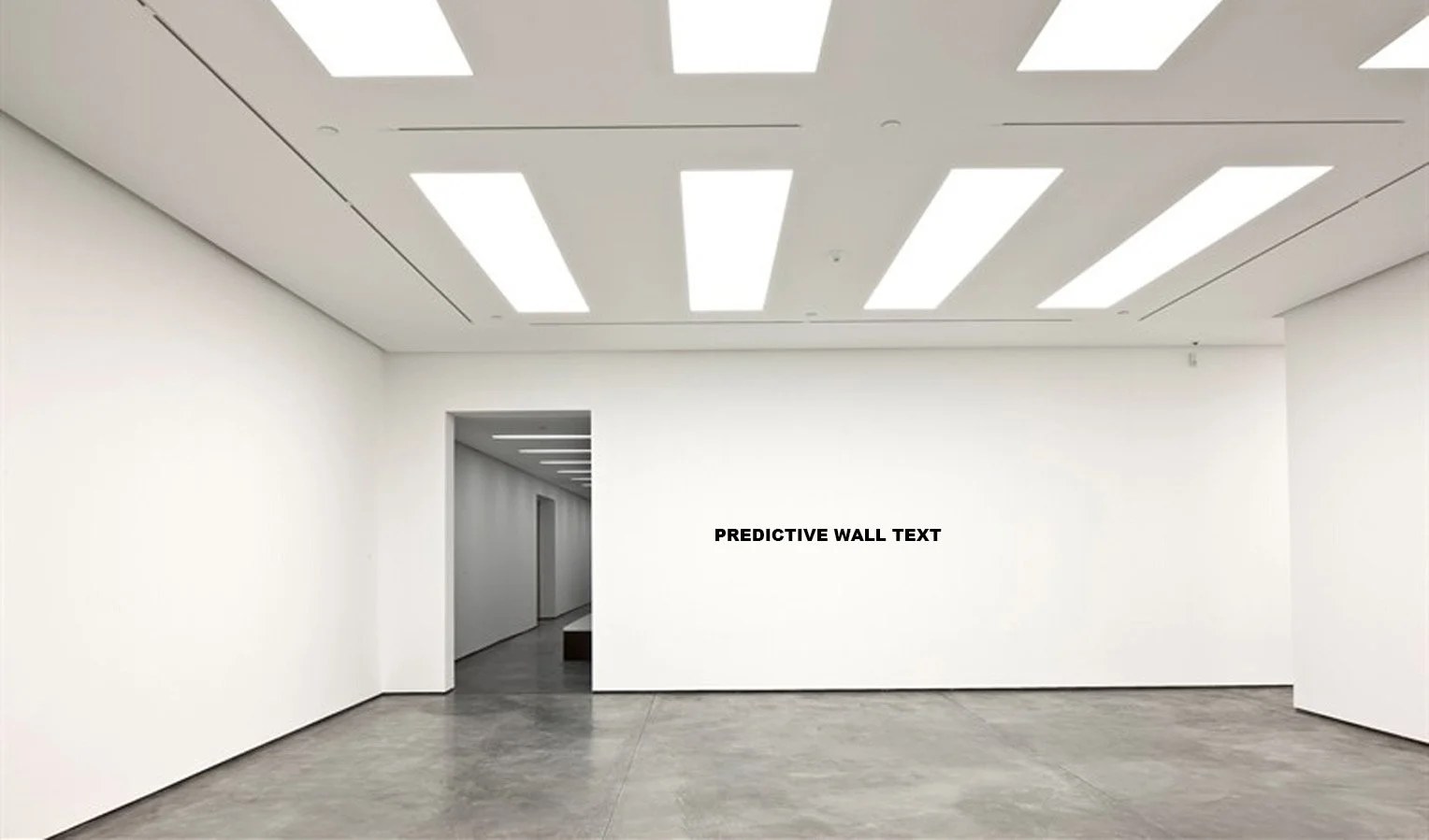 GALLERY TEXT 3.jpeg