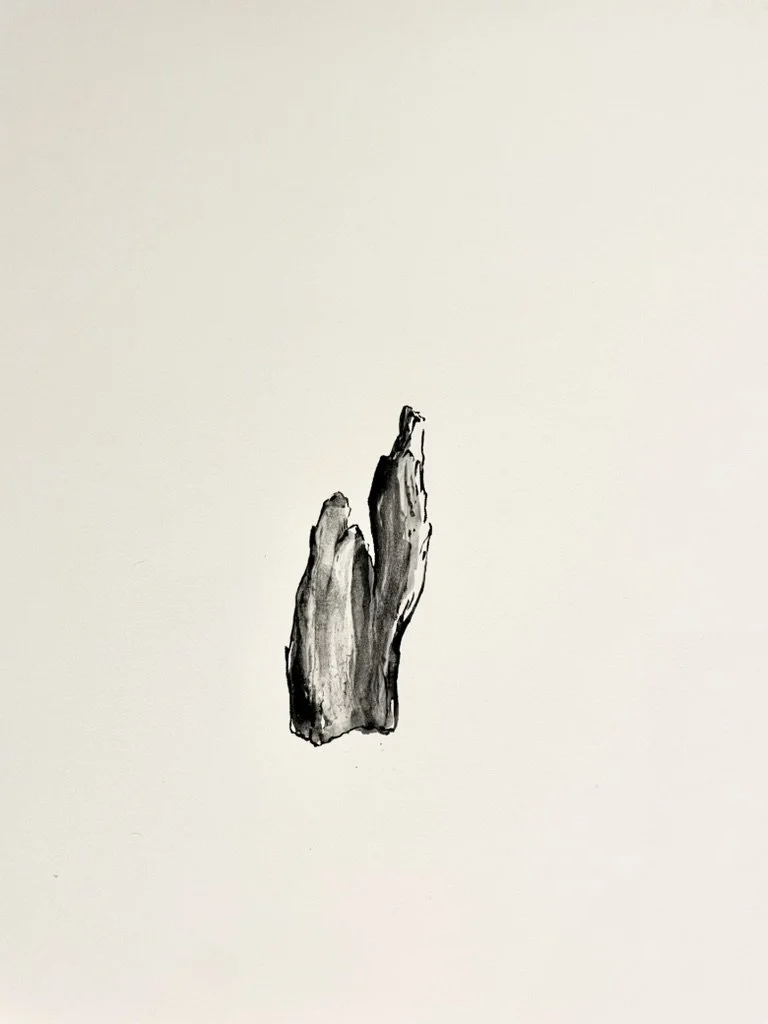D63B8F09-814C-493E-A89B-B697E323E098_1_105_c.jpeg