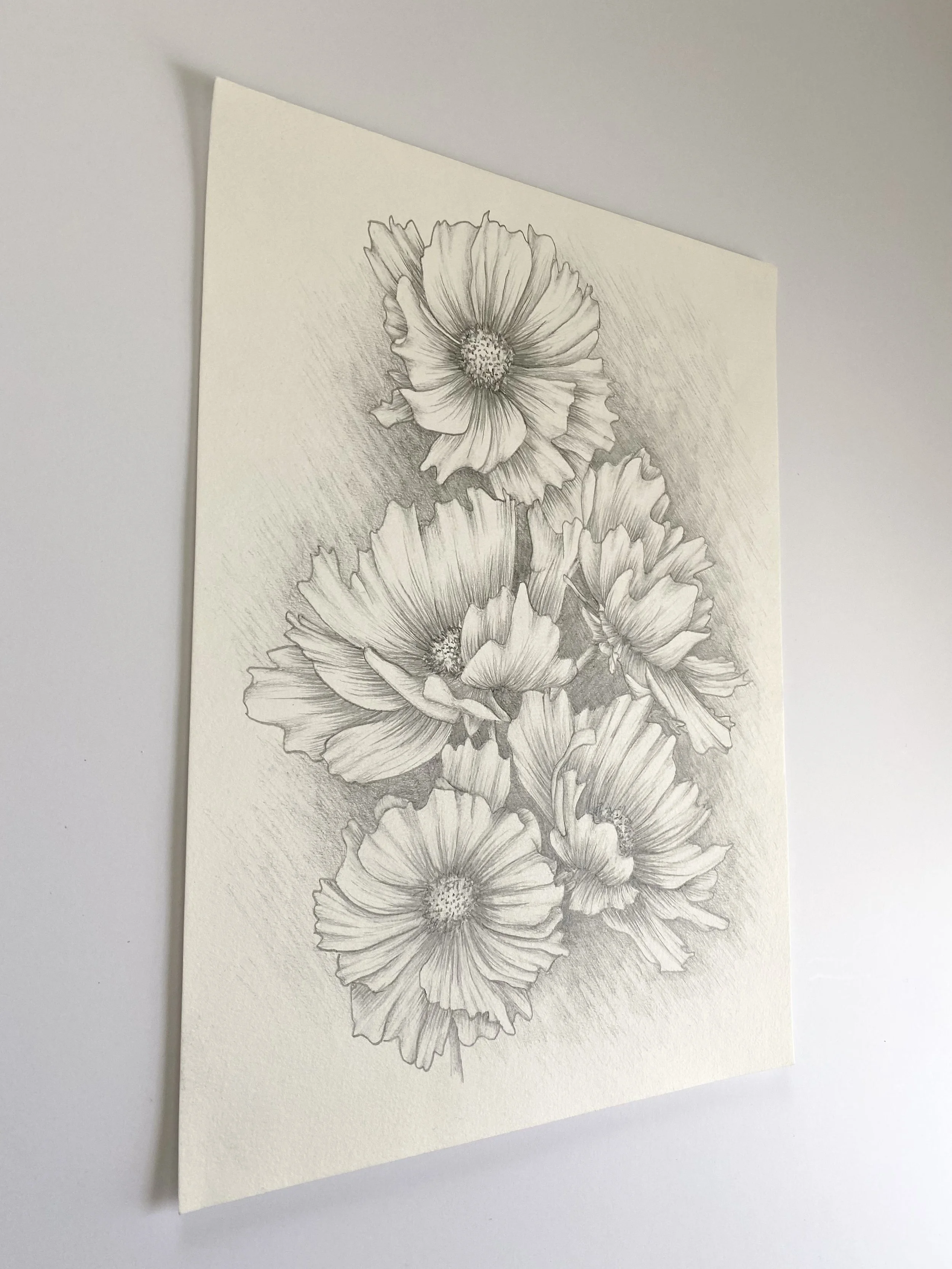 Pencil Drawing Of Flower Pot