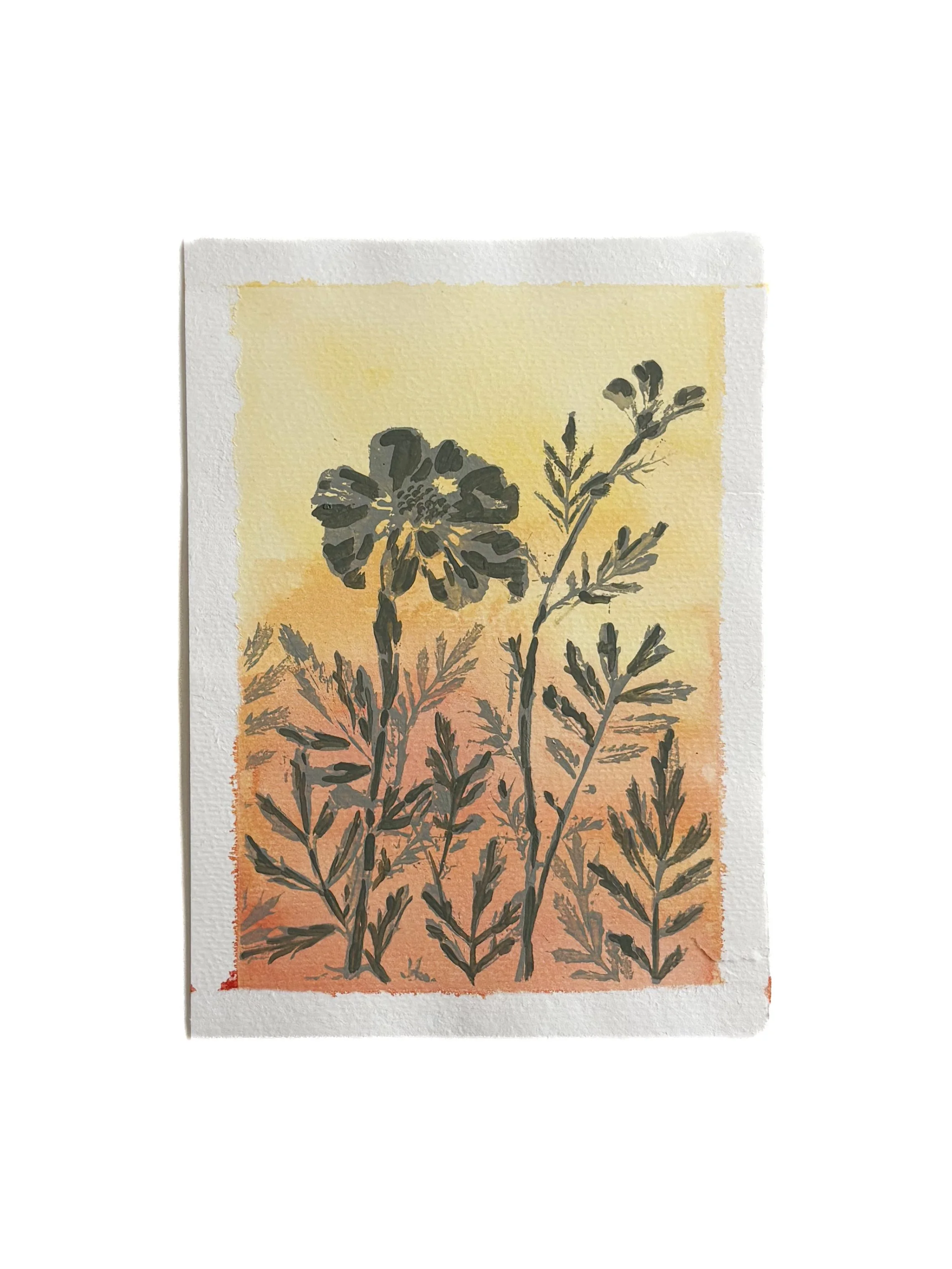 Marigold 2