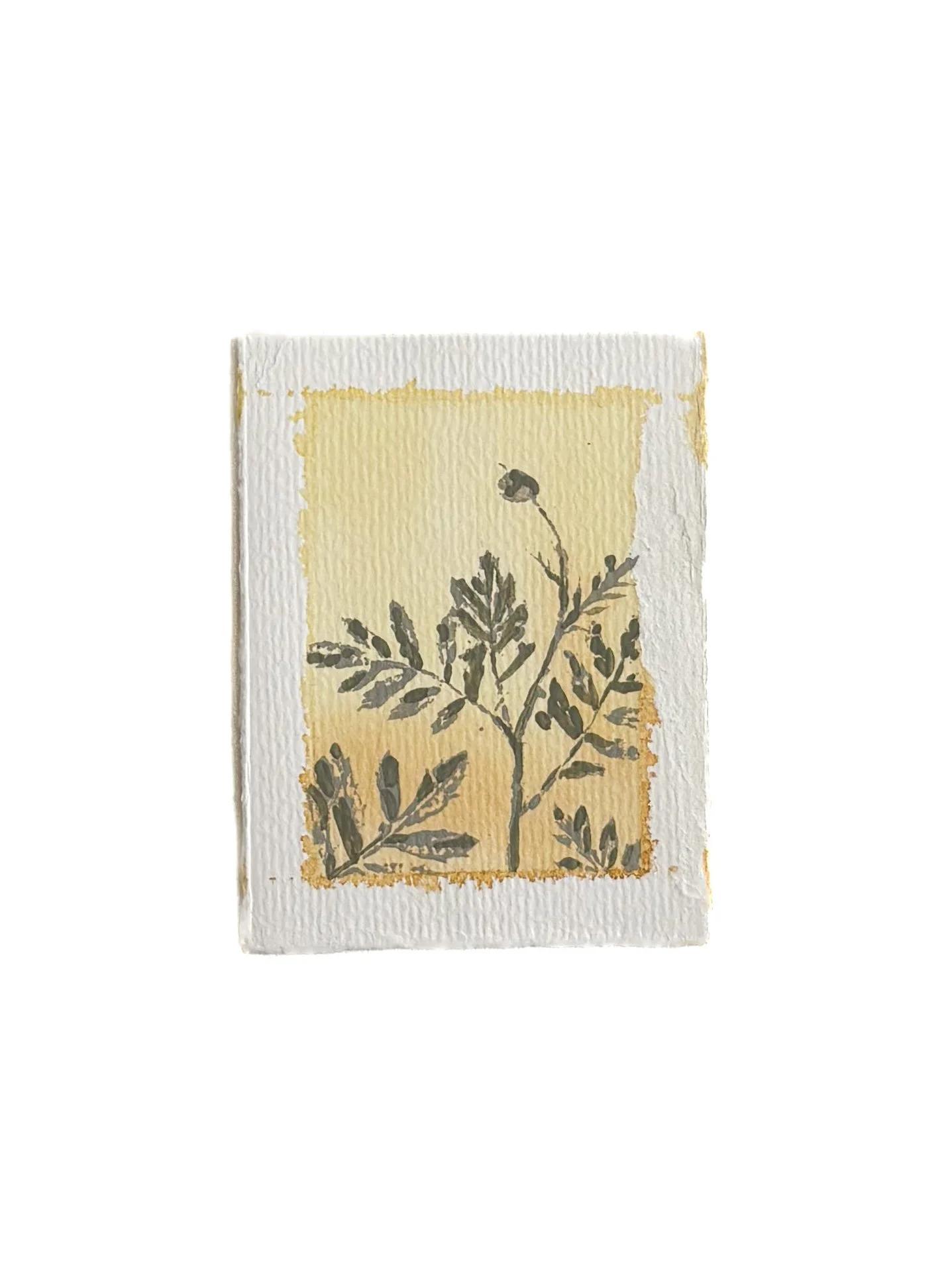 Marigold 1