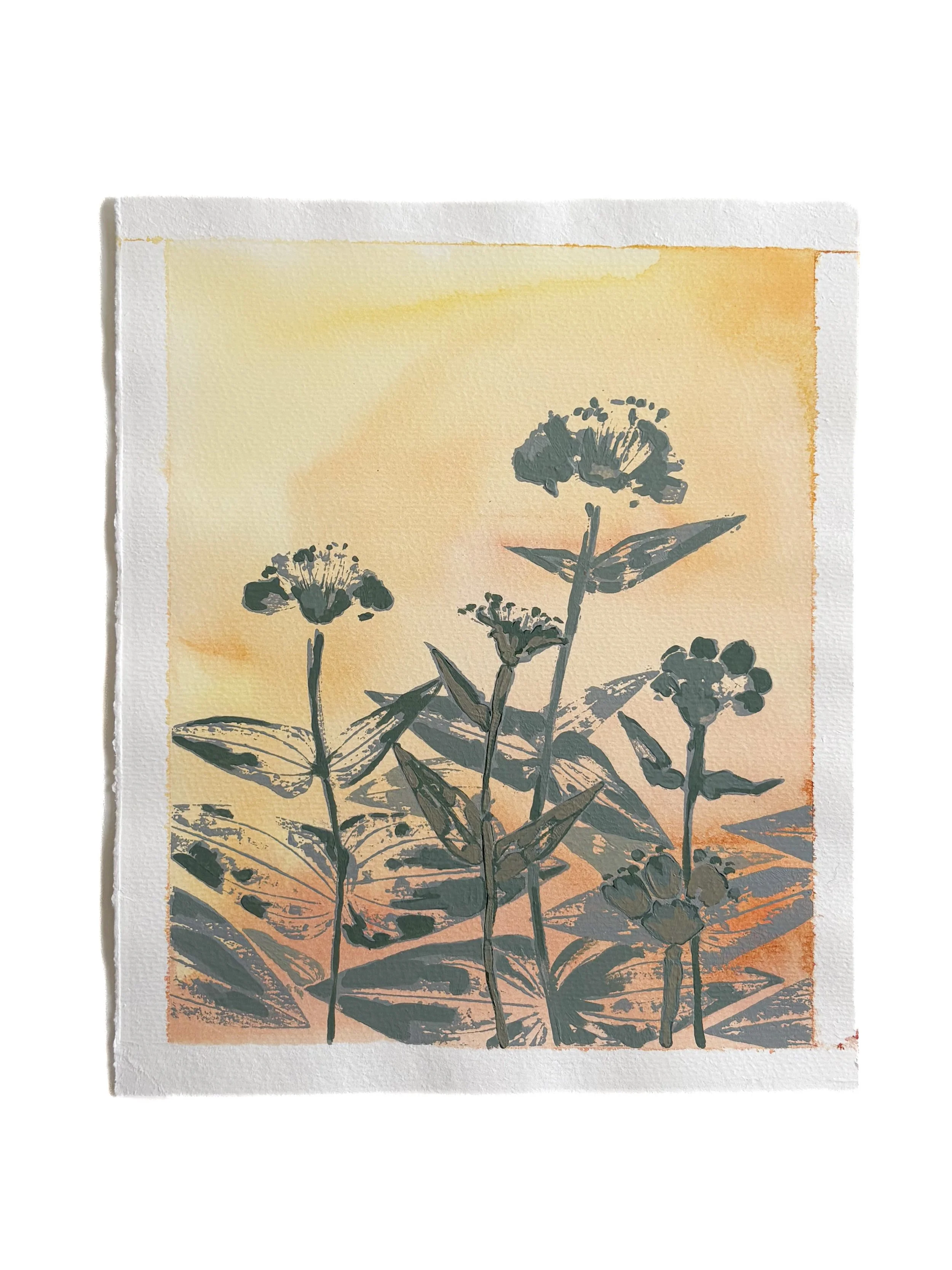 Zinnia 3