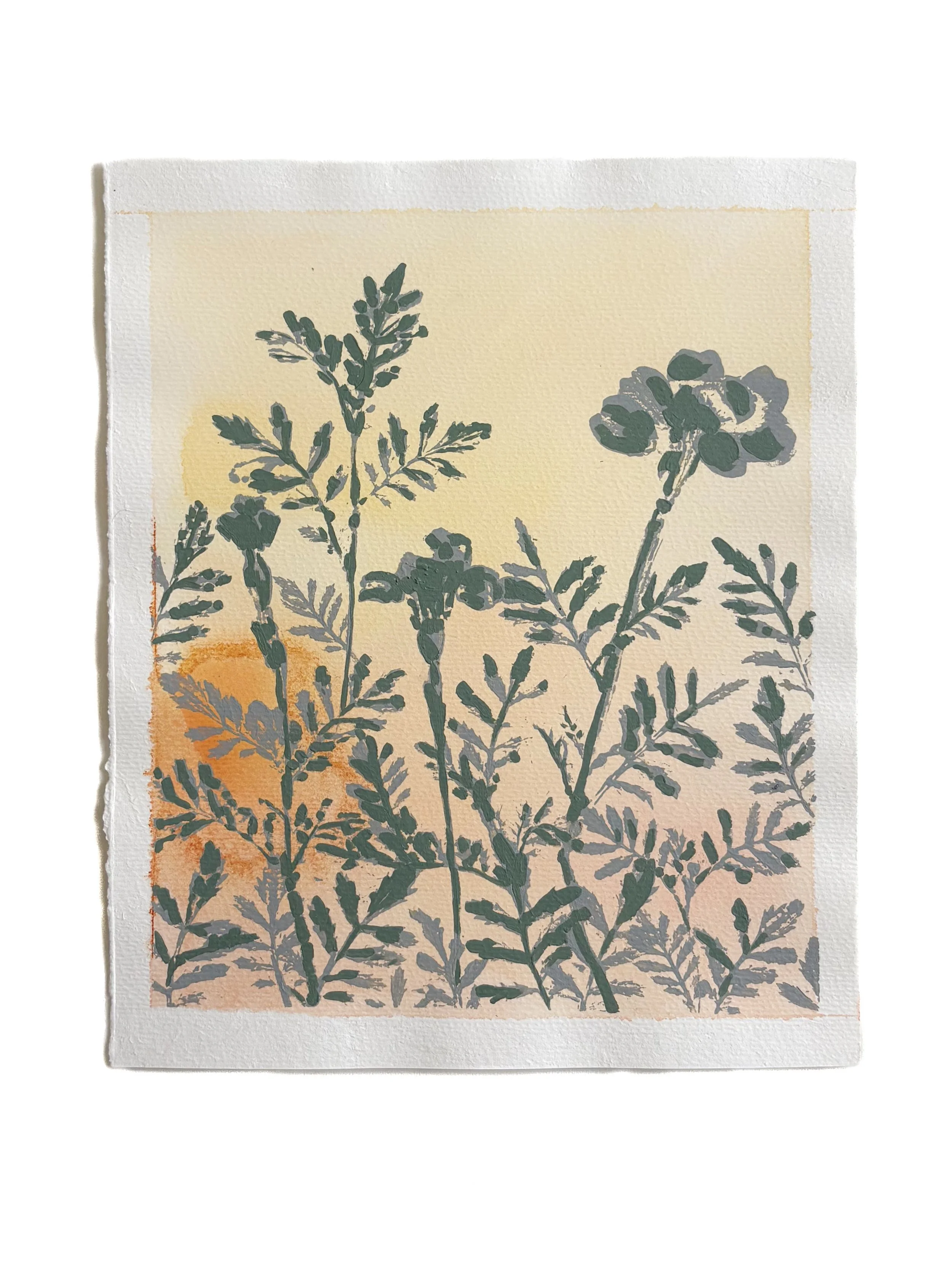 Marigold 3